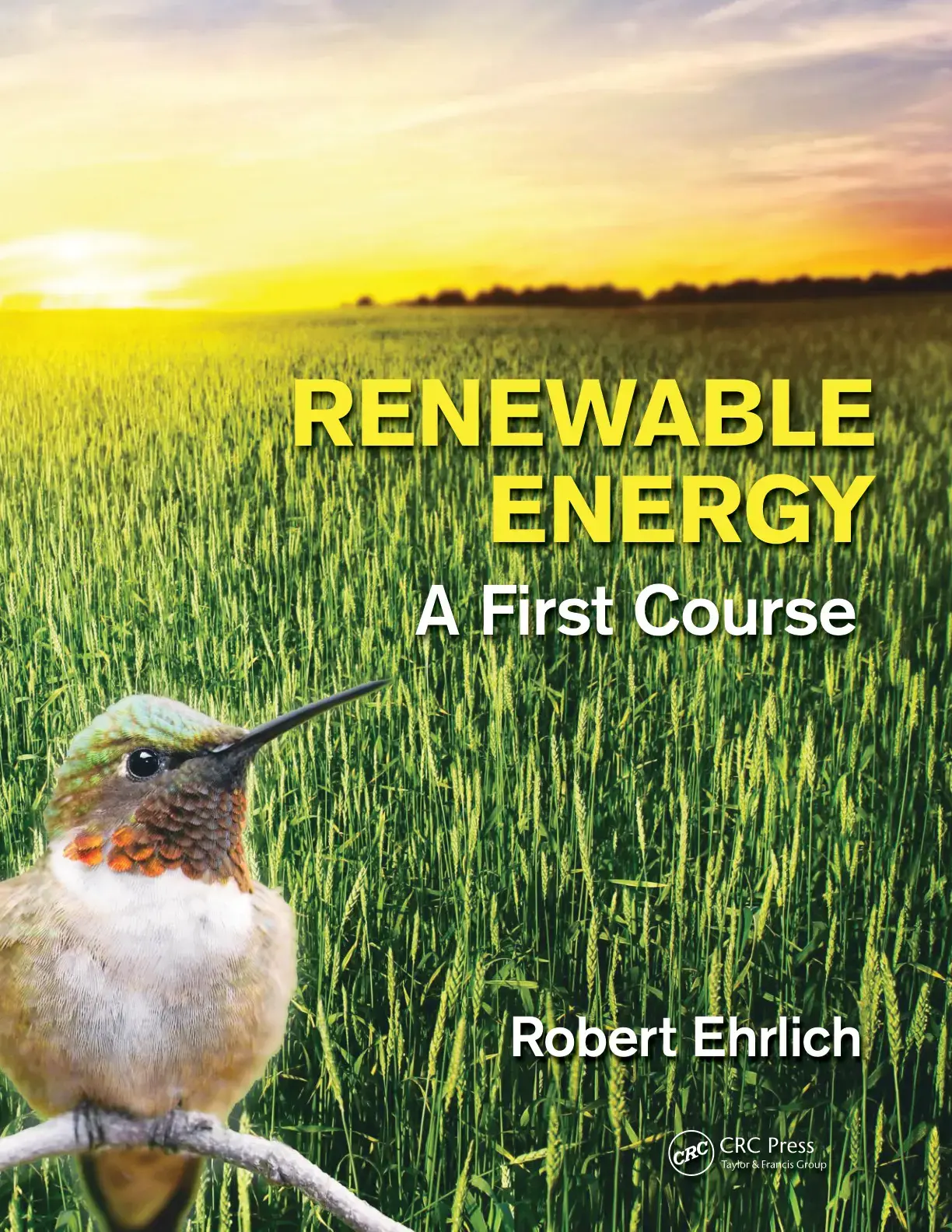 غلاف كتاب RENEWABLE ENERGY A First Course
