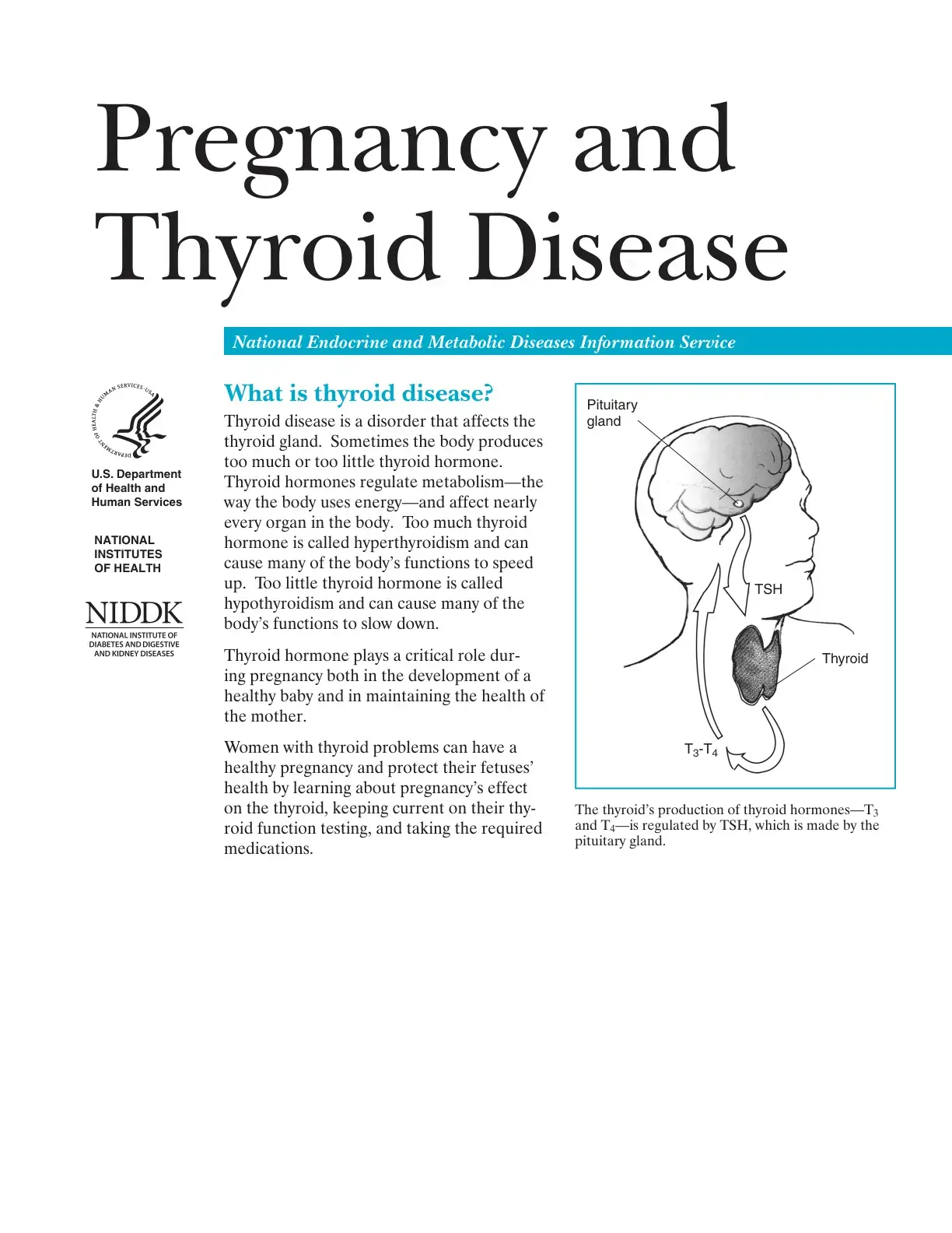 غلاف كتاب Pregnancy and Thyroid Disease