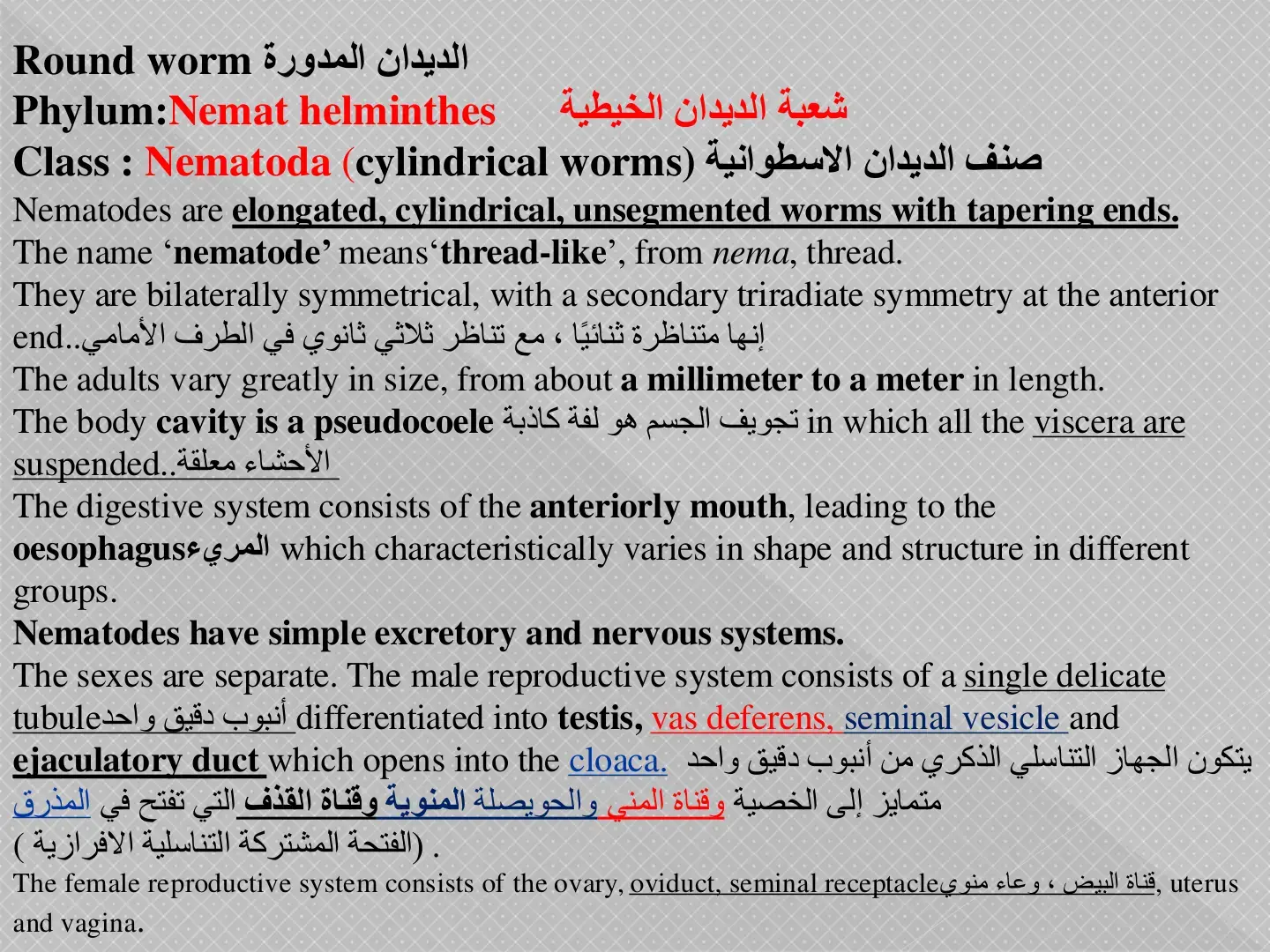 غلاف كتاب شعبة الديدان الخيطية