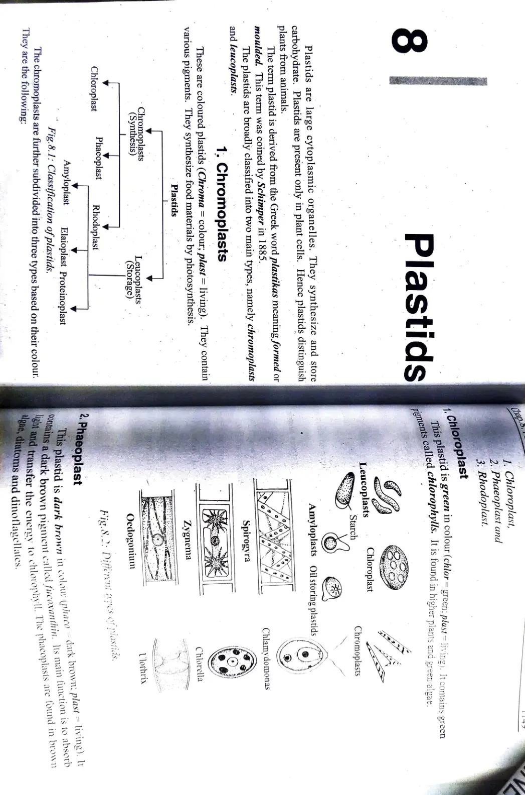 غلاف كتاب Plastids