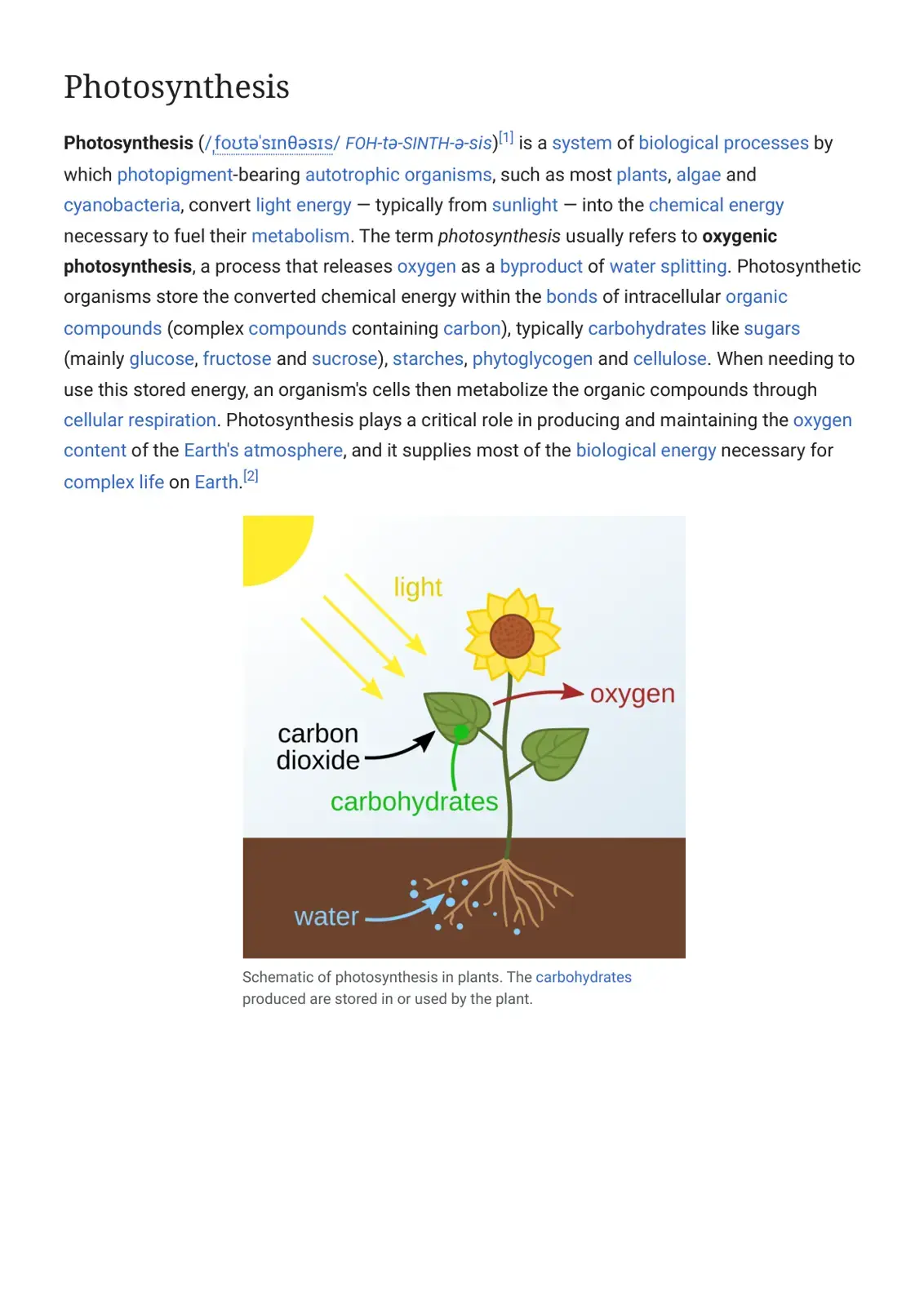 غلاف كتاب Photosynthesis