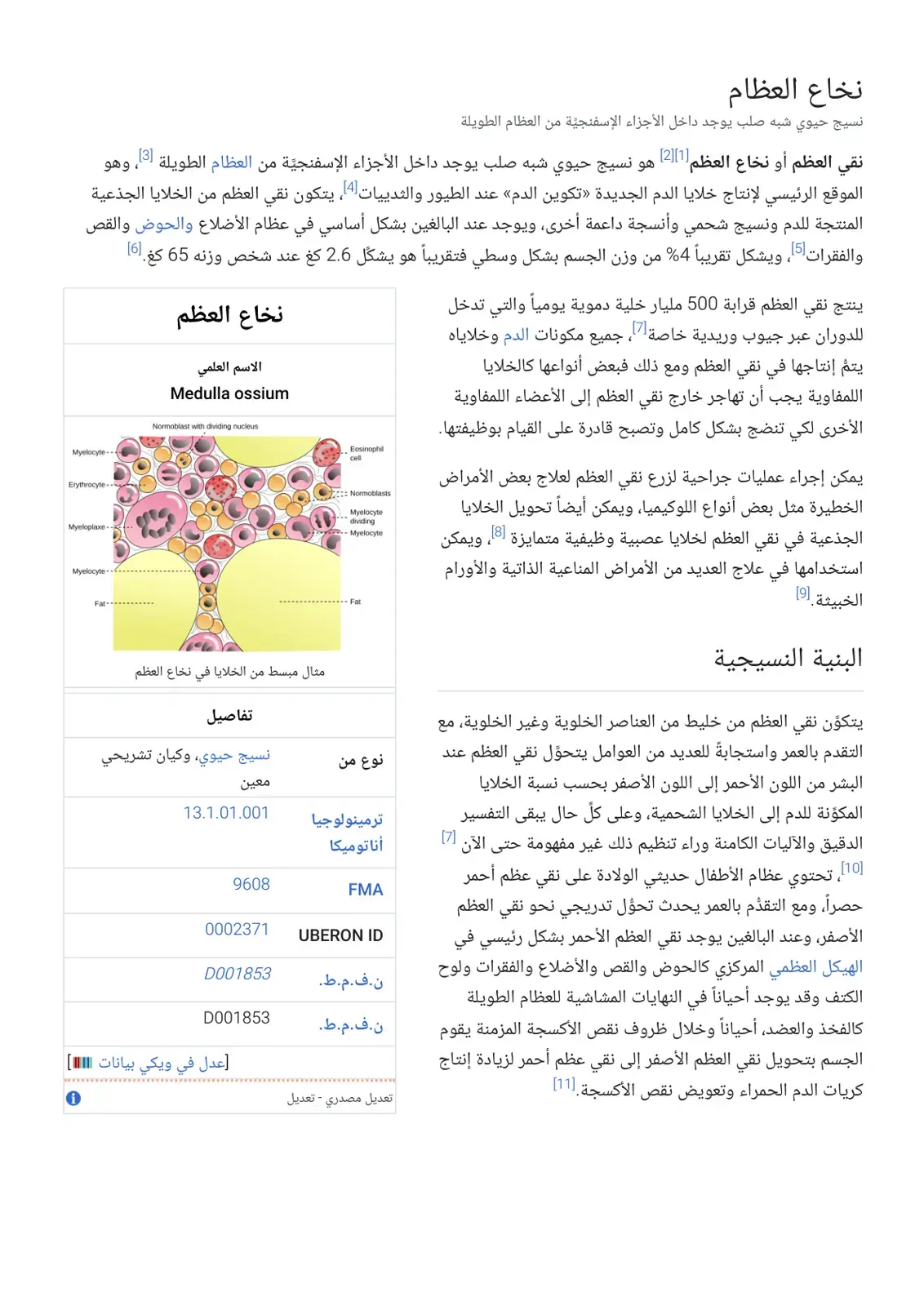 غلاف كتاب نخاع العظام