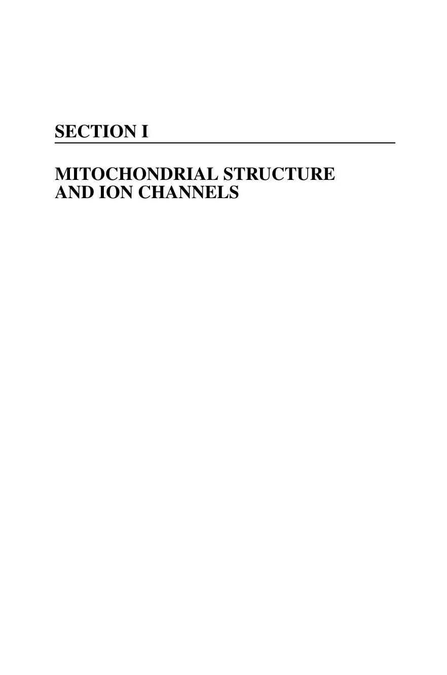 غلاف كتاب Mitochondrial Structure and Ion Channels