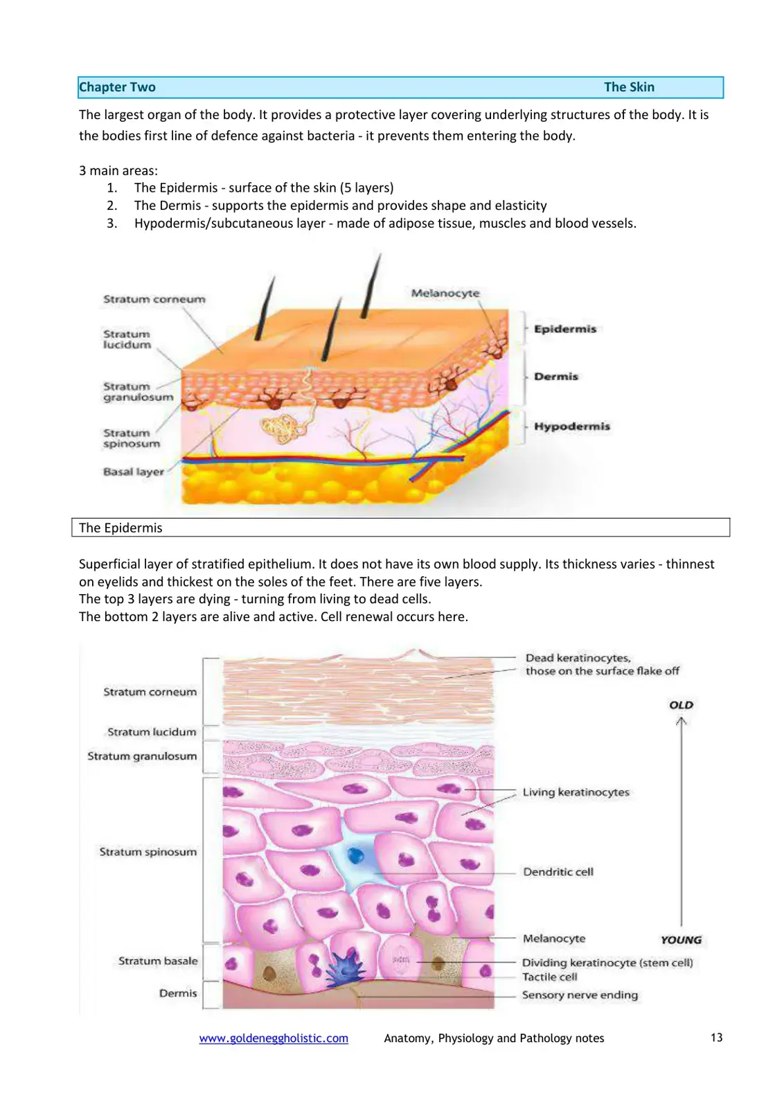 غلاف كتاب Chapter Two: The Skin