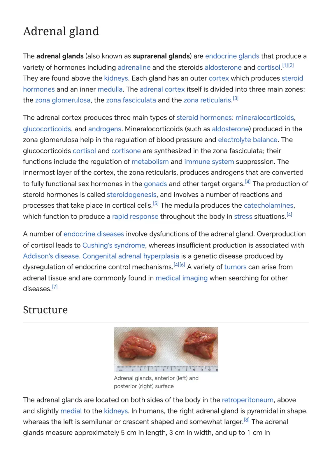 غلاف كتاب Adrenal Gland