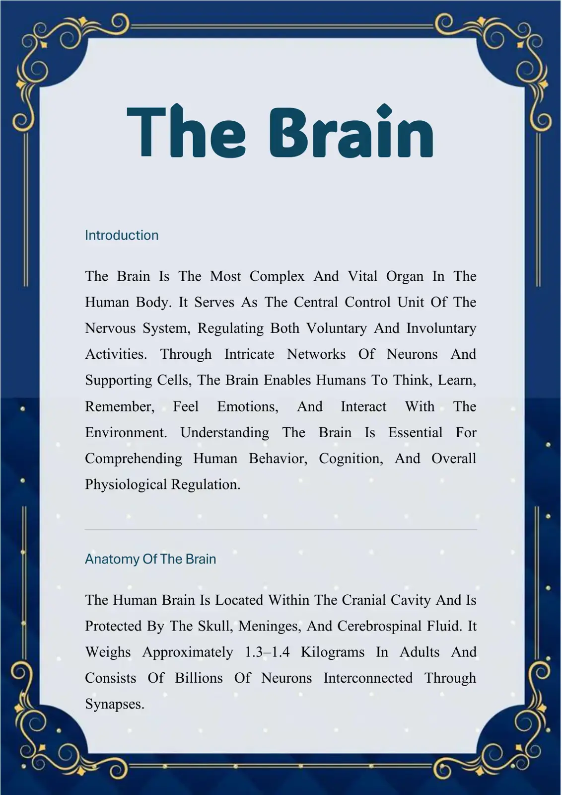 غلاف كتاب The Brain