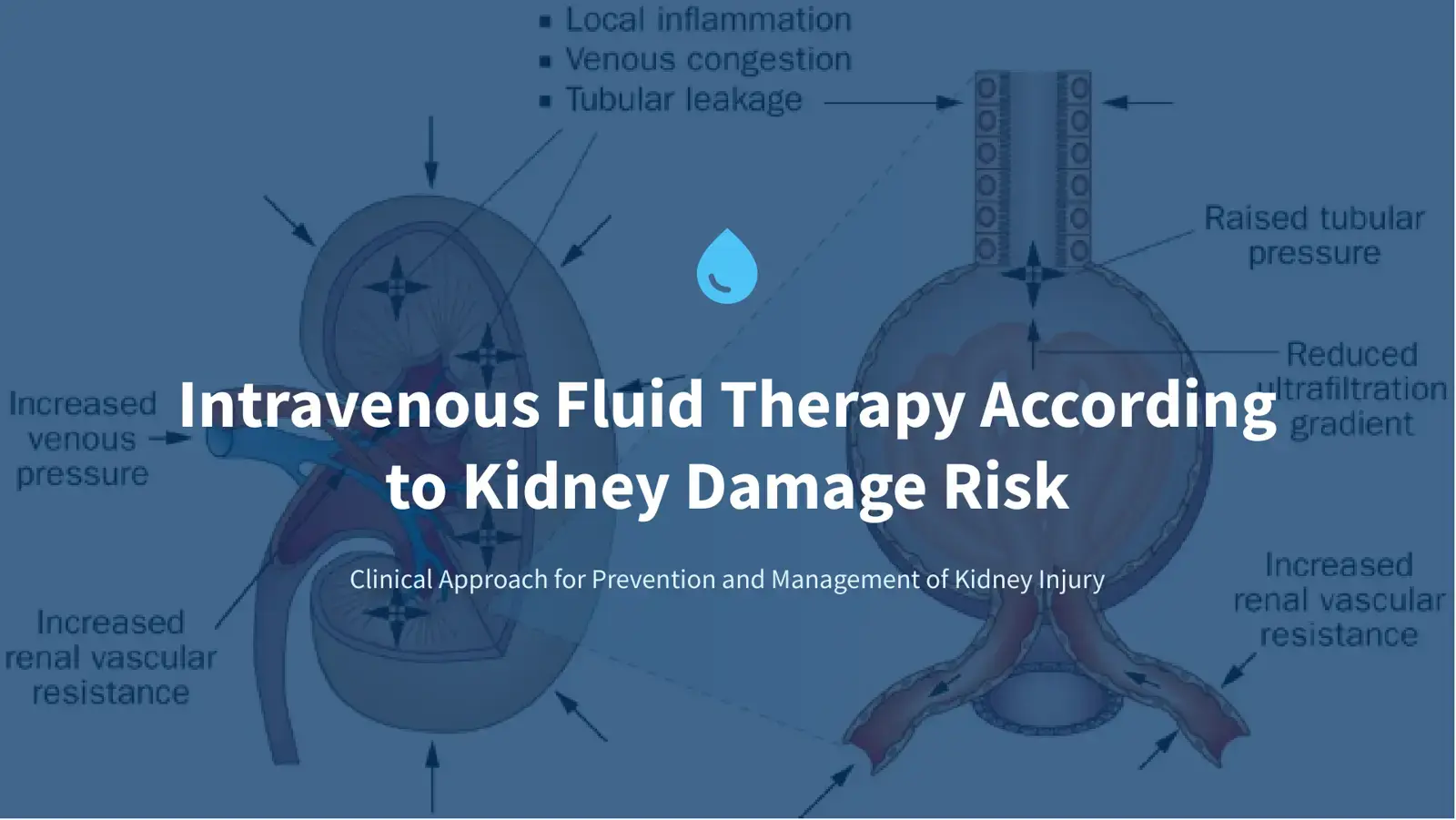 غلاف كتاب Clinical Approach for Prevention and Management of Kidney Injury