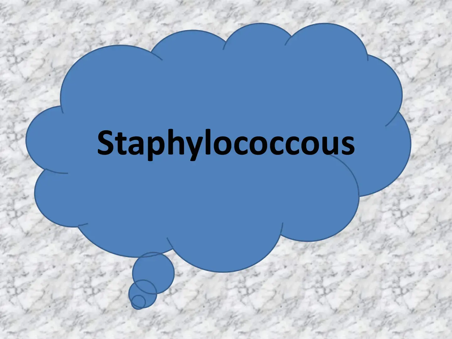 غلاف كتاب Staphylococcus