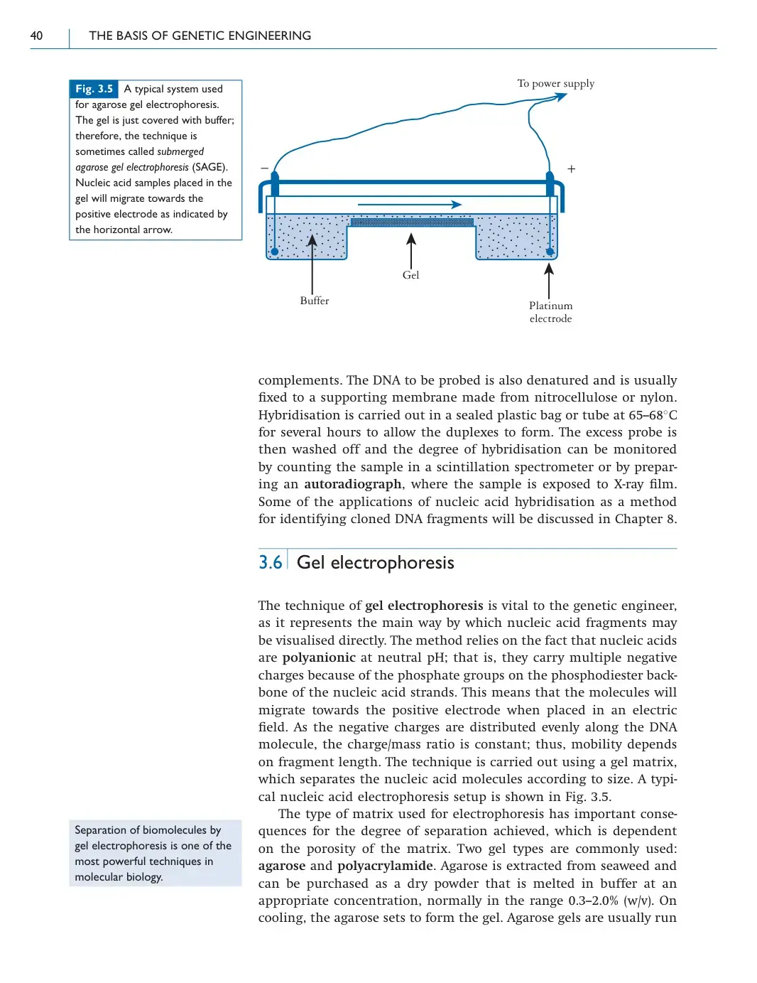 غلاف كتاب THE BASIS OF GENETIC ENGINEERING