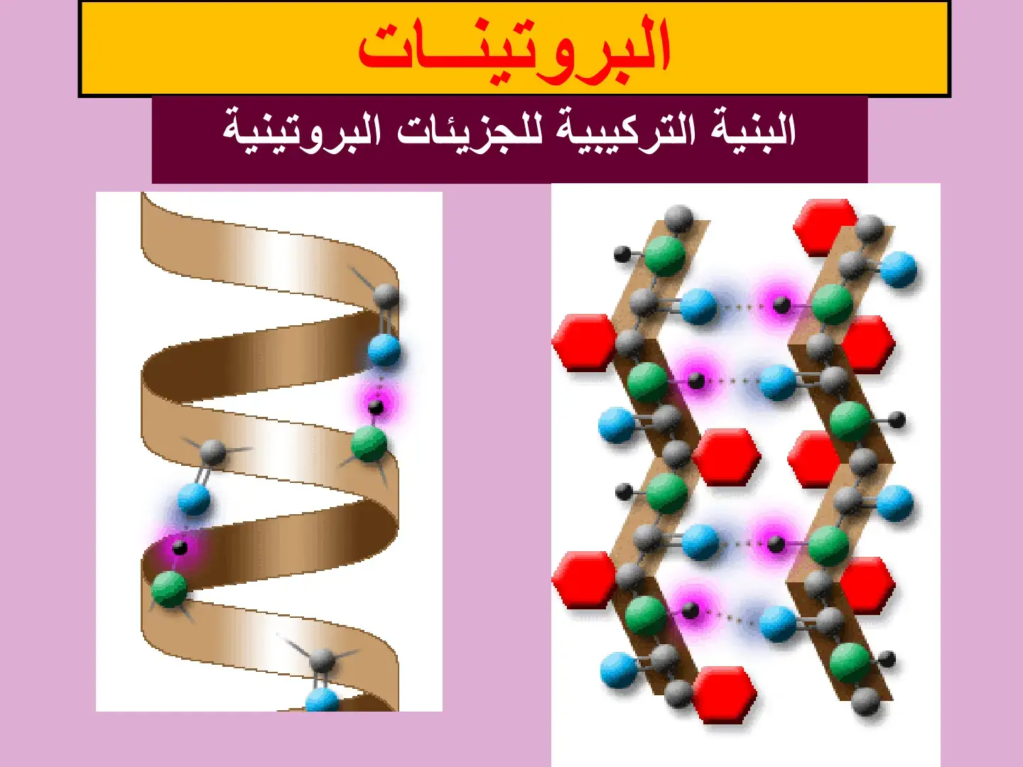 غلاف كتاب البروتينات البنية التركيبية للجزيئات البروتينية