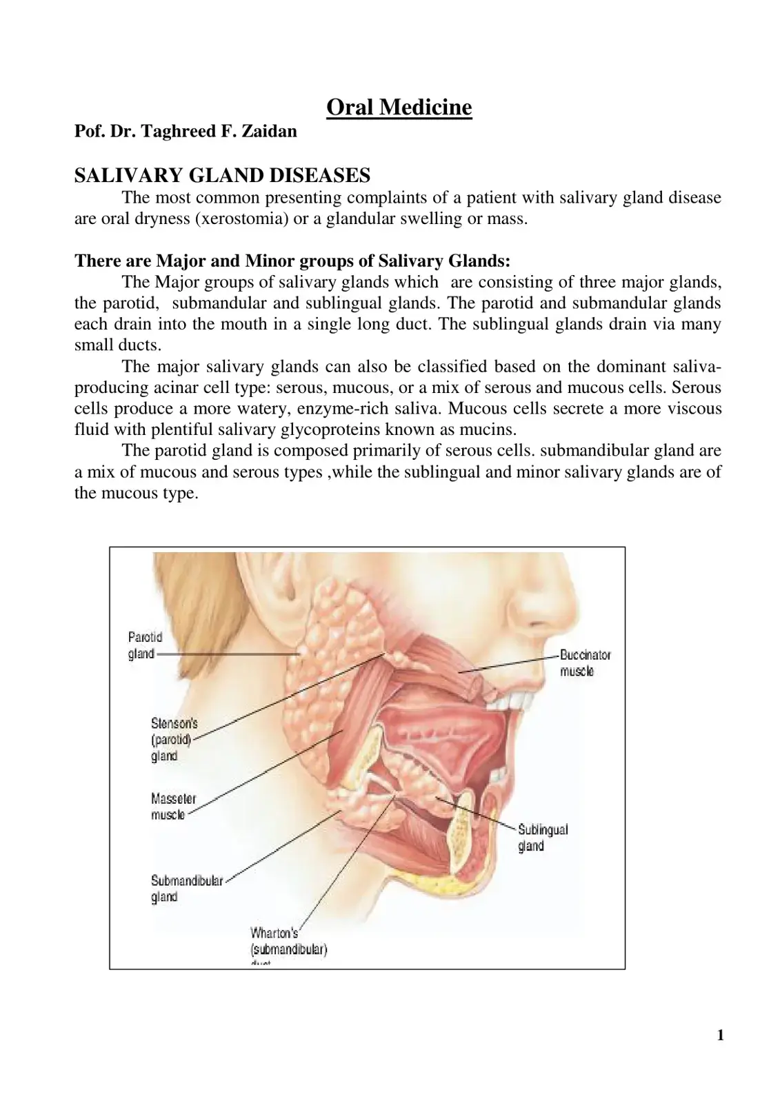 غلاف كتاب Salivary Gland Diseases