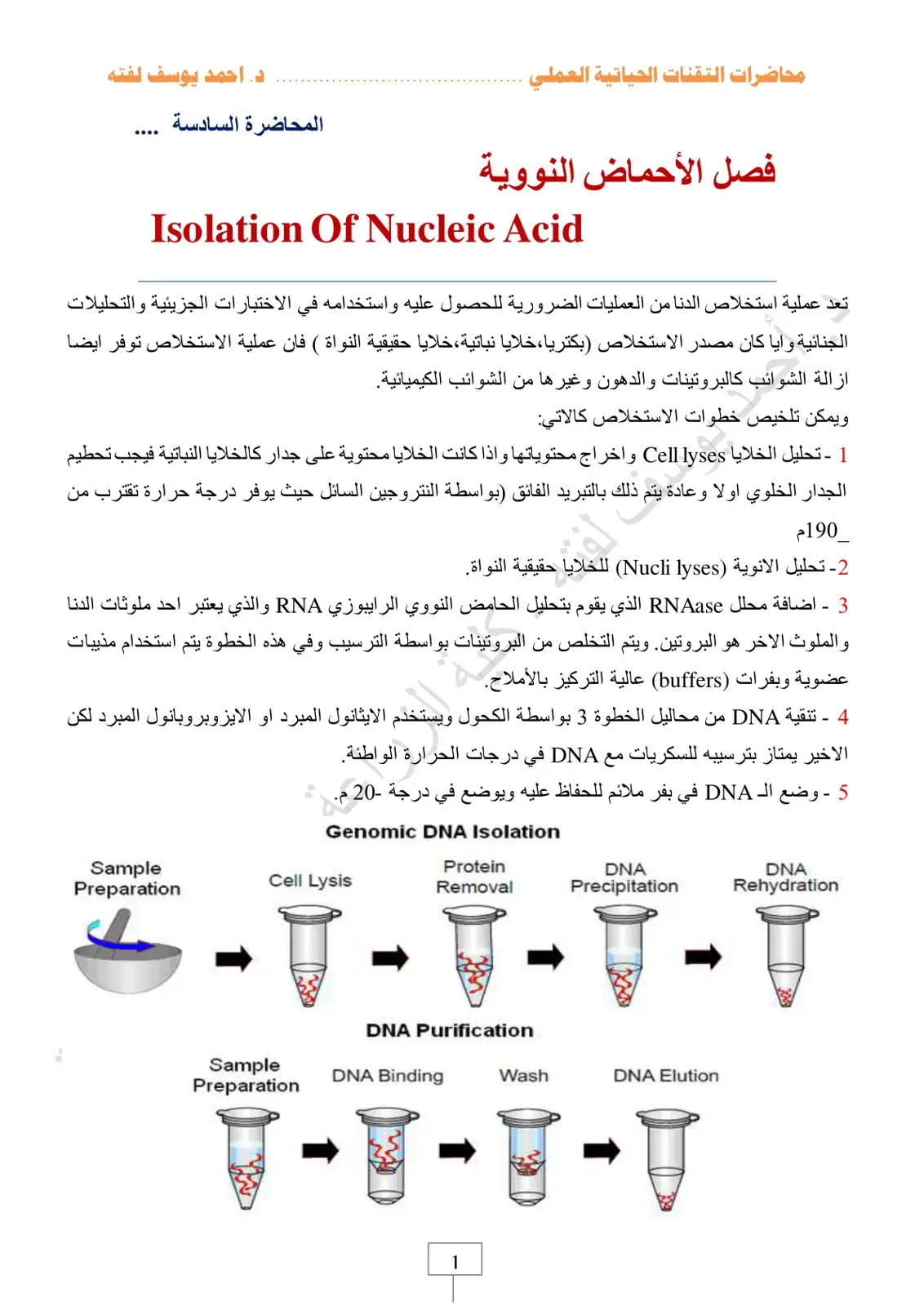 غلاف كتاب محاضرات التقنيات الحياتية العملي - فصل الأحماض النووية - Isolation Of Nucleic Acid