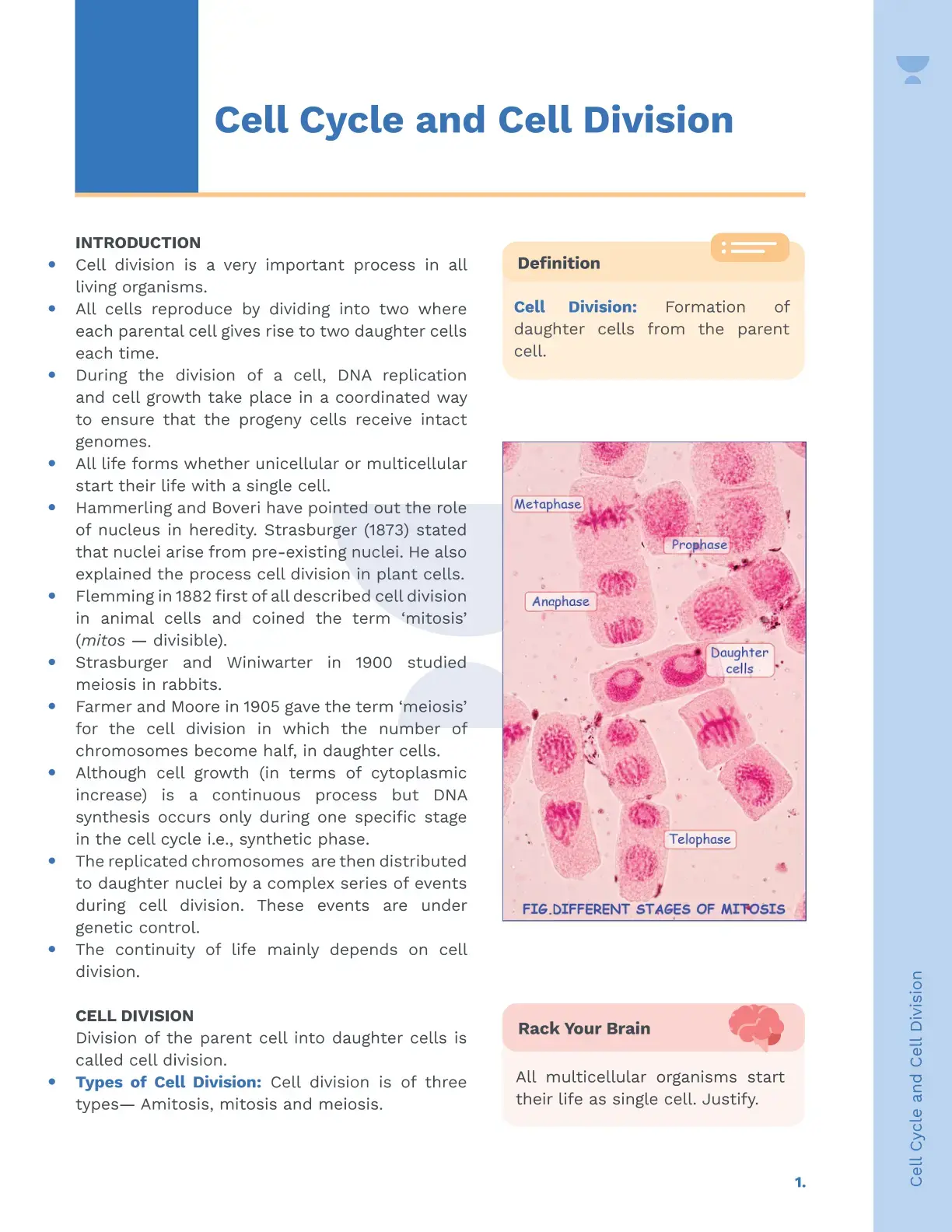 غلاف كتاب Cell Cycle and Cell Division