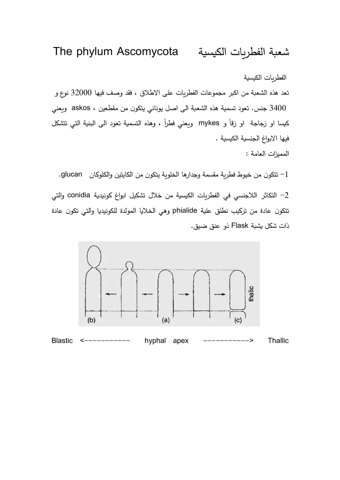 غلاف كتاب The Phylum Ascomycota - شعبة الفطريات الكيسية