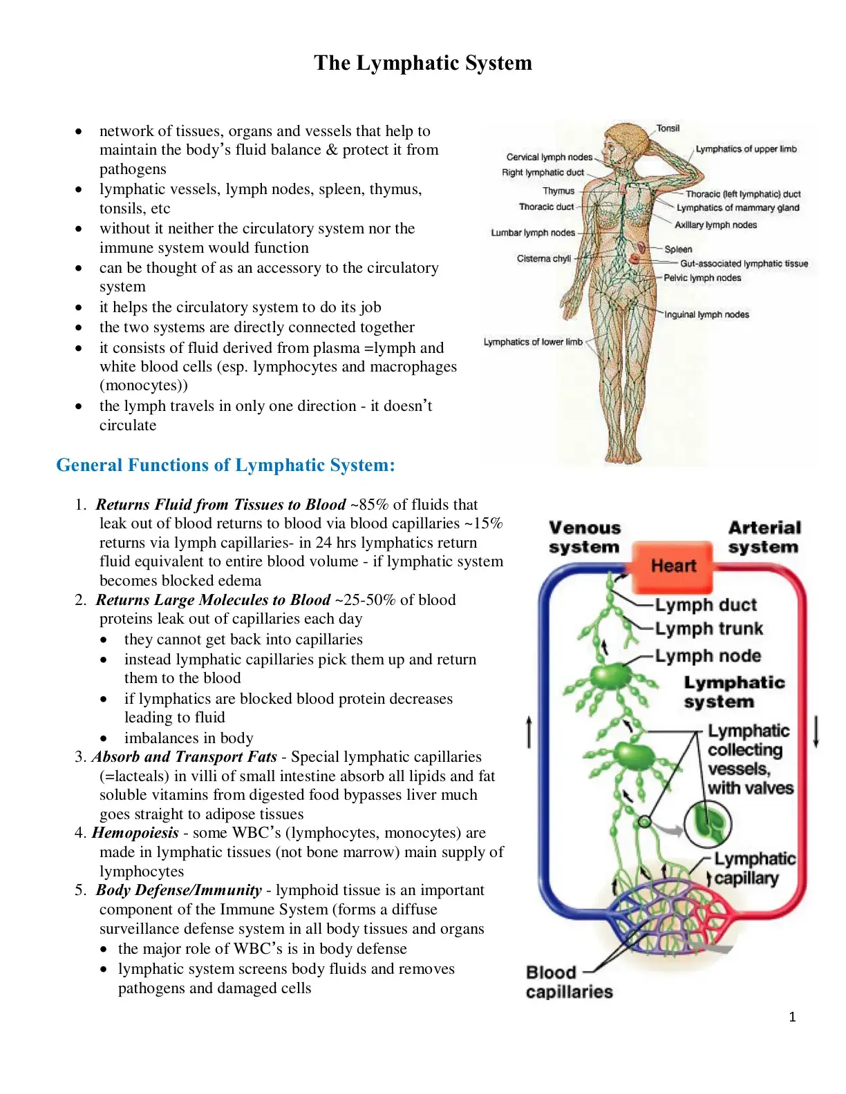 غلاف كتاب The Lymphatic System