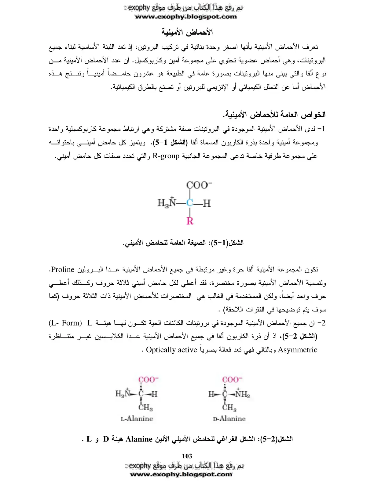 غلاف كتاب الأحماض الأمينية