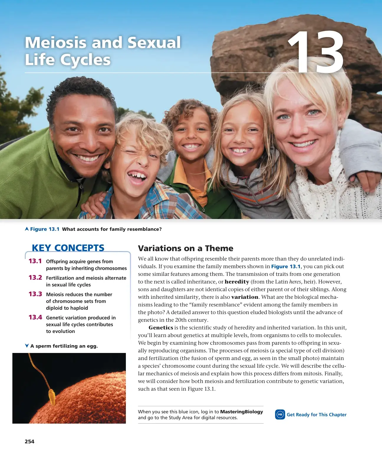 غلاف كتاب Meiosis and Sexual Life Cycles