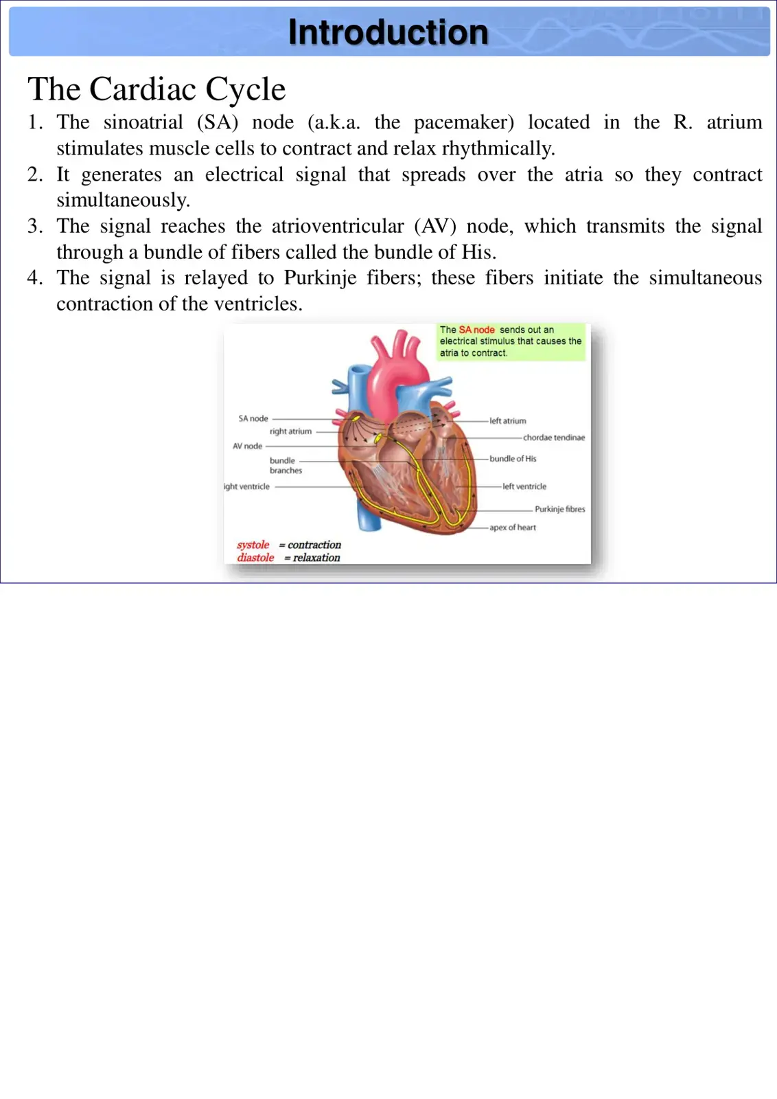 غلاف كتاب The Cardiac Cycle