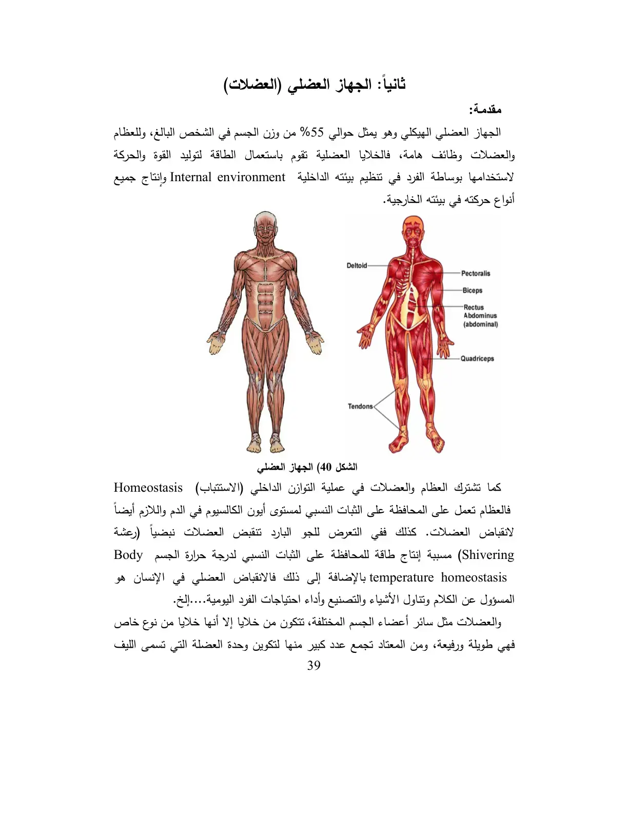 غلاف كتاب الجهاز العضلي: العضلات والمفاصل