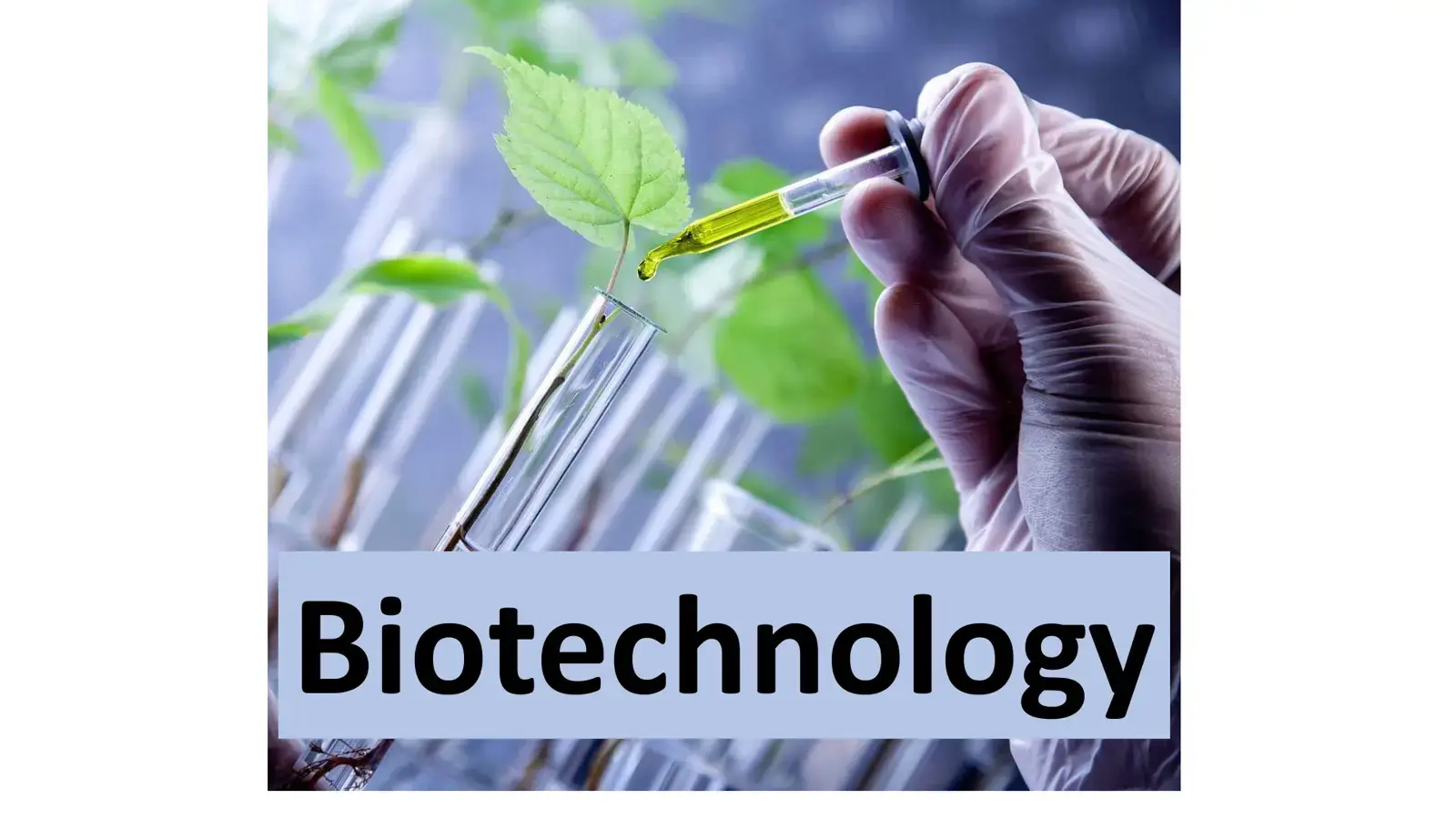 غلاف كتاب Biotechnology