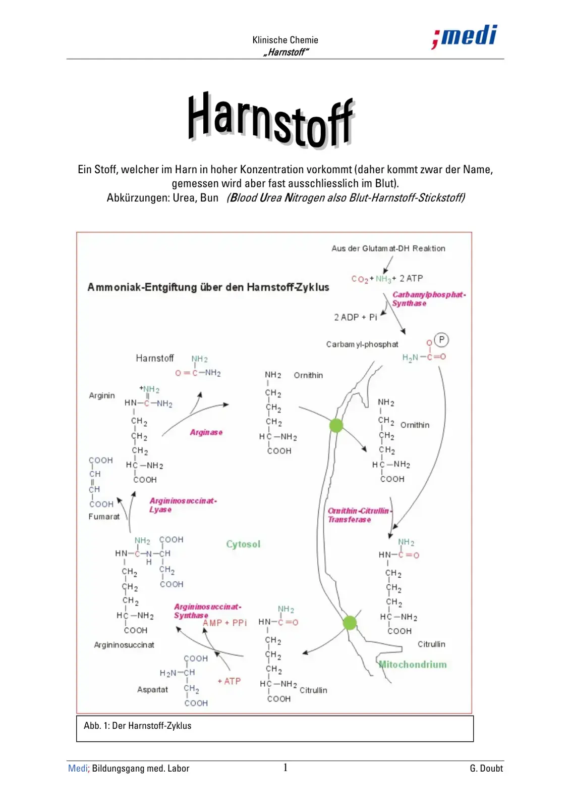 غلاف كتاب Harnstoff — الكيمياء السريرية