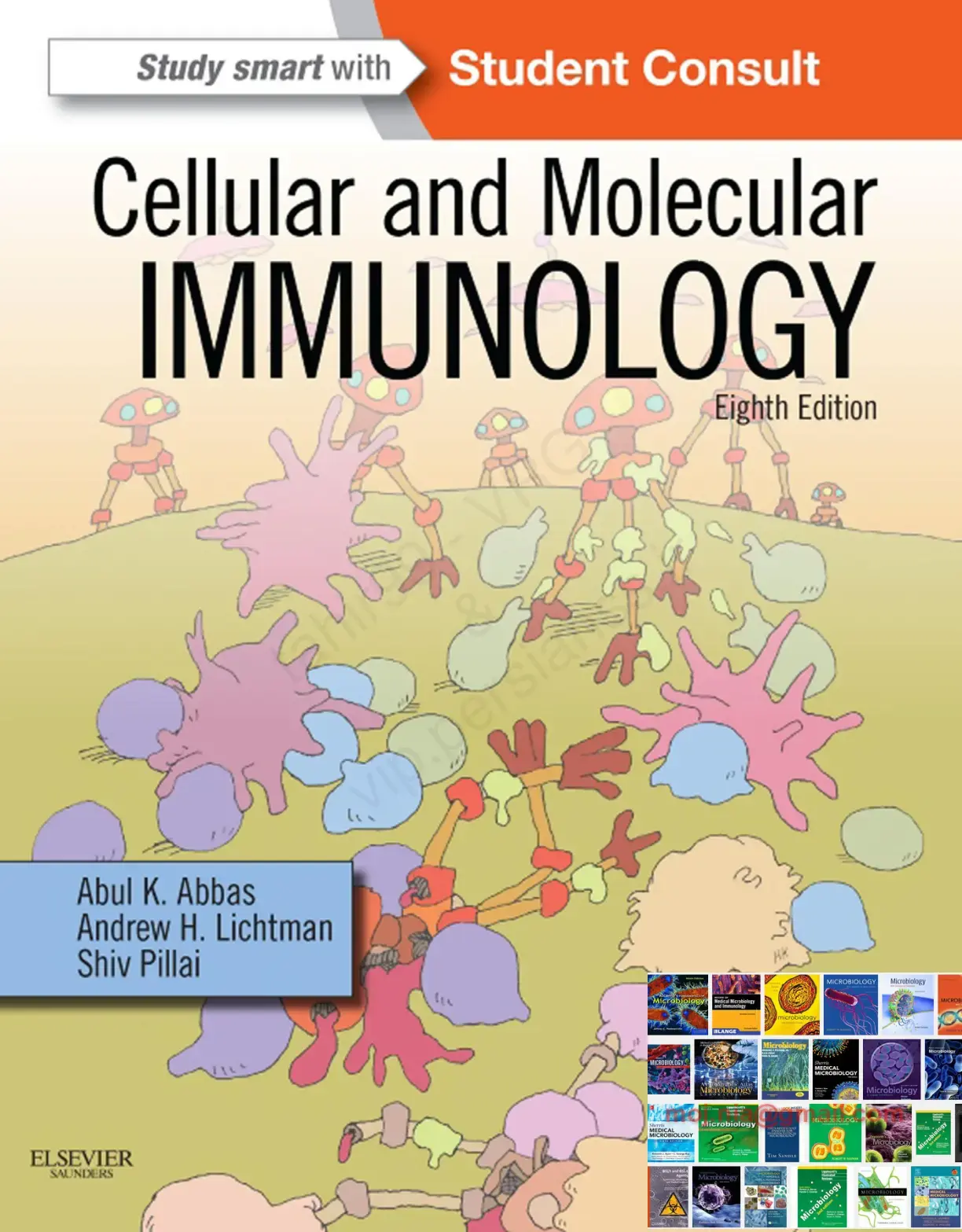غلاف كتاب Cellular and Molecular IMMUNOLOGY