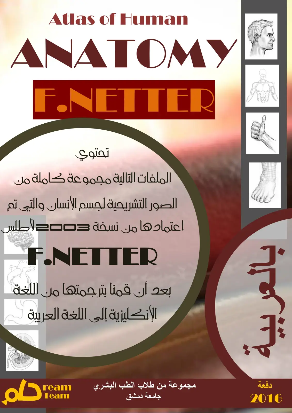 غلاف كتاب Atlas of Human ANATOMY F.NETTER