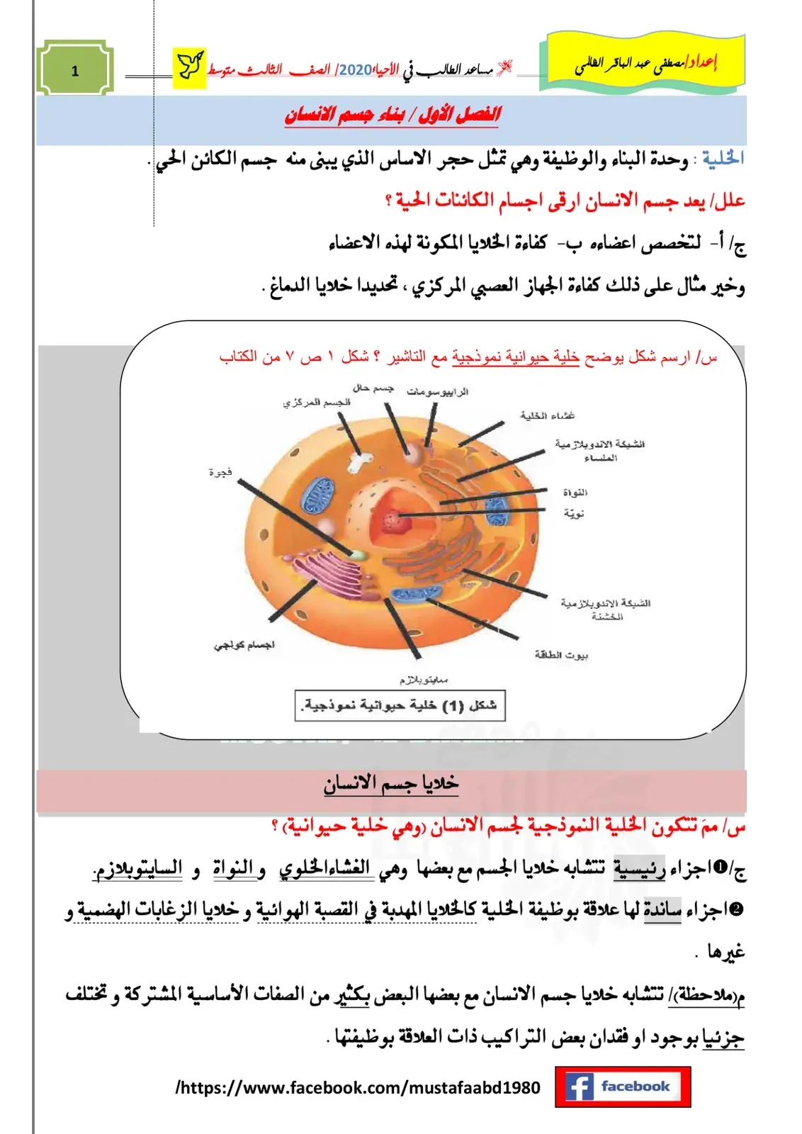 غلاف كتاب بناء جسم الإنسان – الخلية: وحدة البناء والوظيفة – الصف الثالث متوسط – الأحياء – الفصل الأول