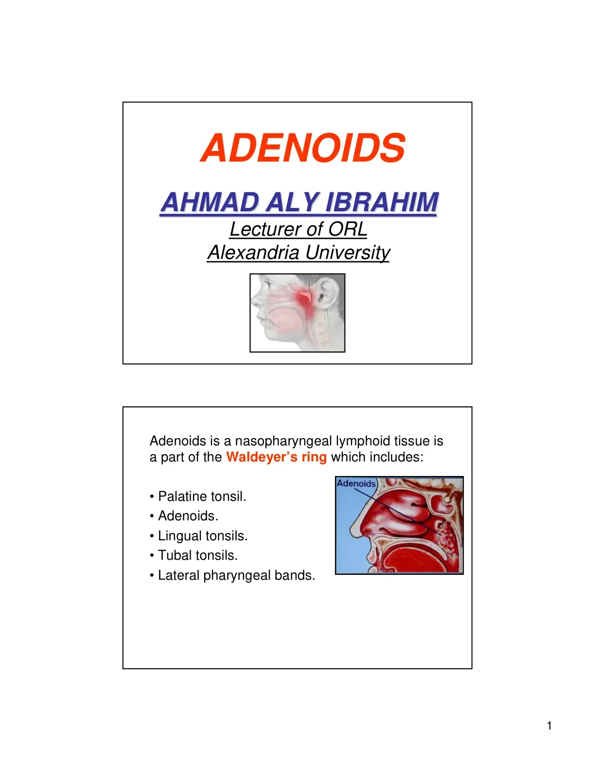 غلاف كتاب ADENOIDS