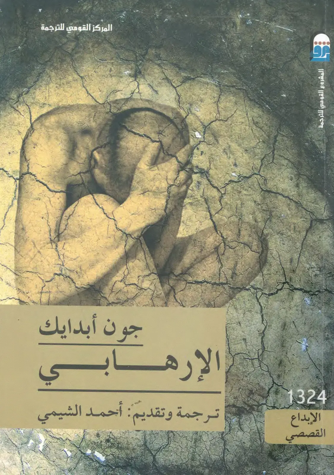 غلاف كتاب الإبداع القصصي - جون أبديك: الإرهابي