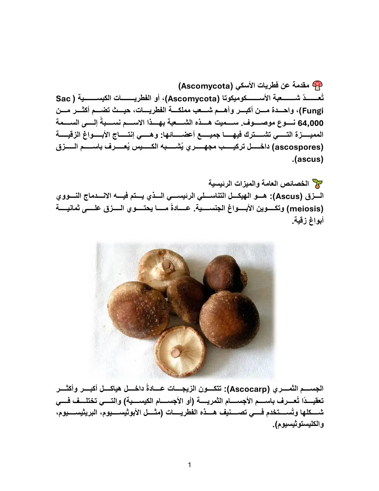 غلاف كتاب مقدمة عن فطريات الأسكي (Ascomycota)