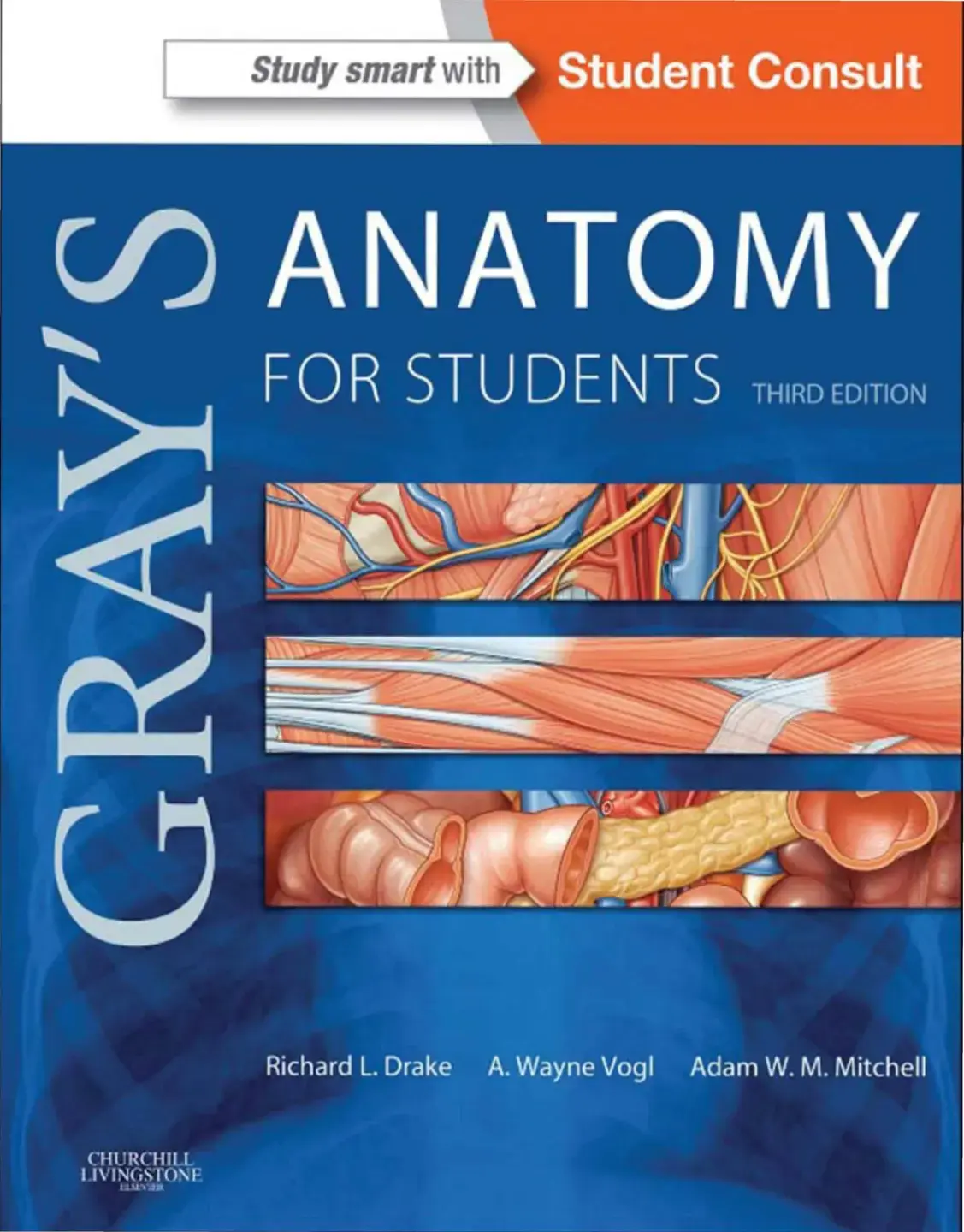 غلاف كتاب Gray's Anatomy for Students Third Edition