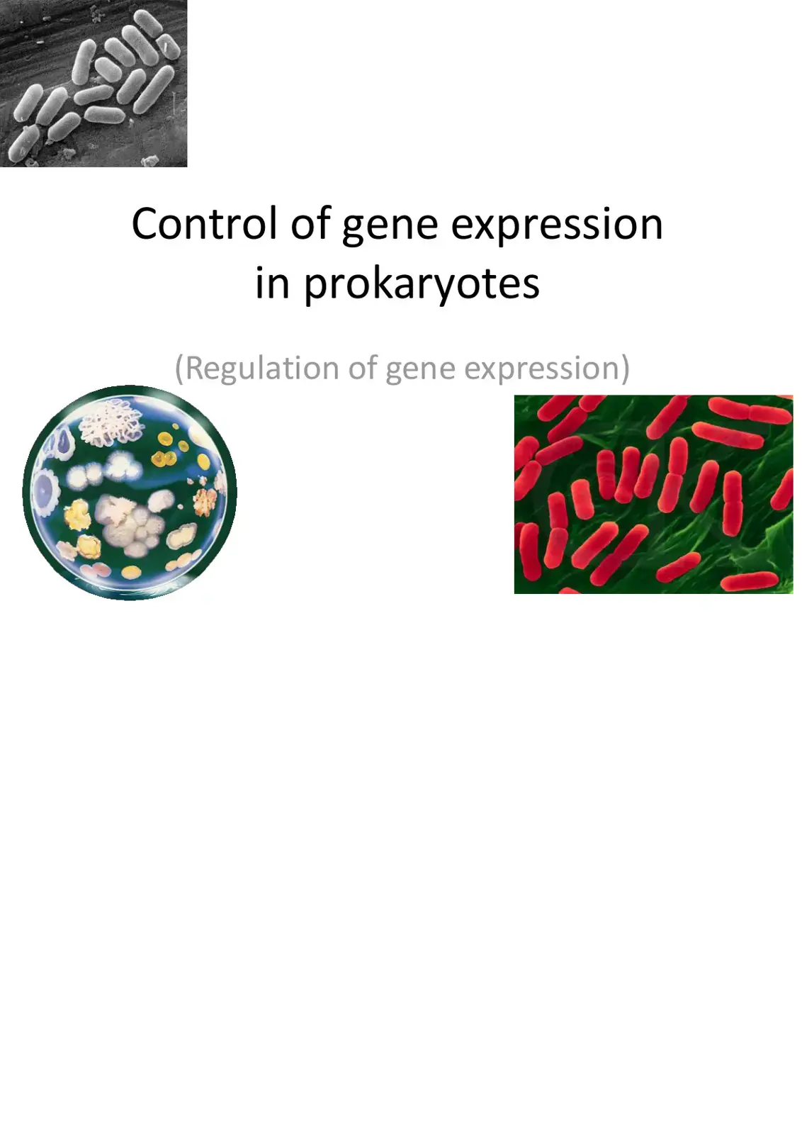 غلاف كتاب Control of gene expression in prokaryotes