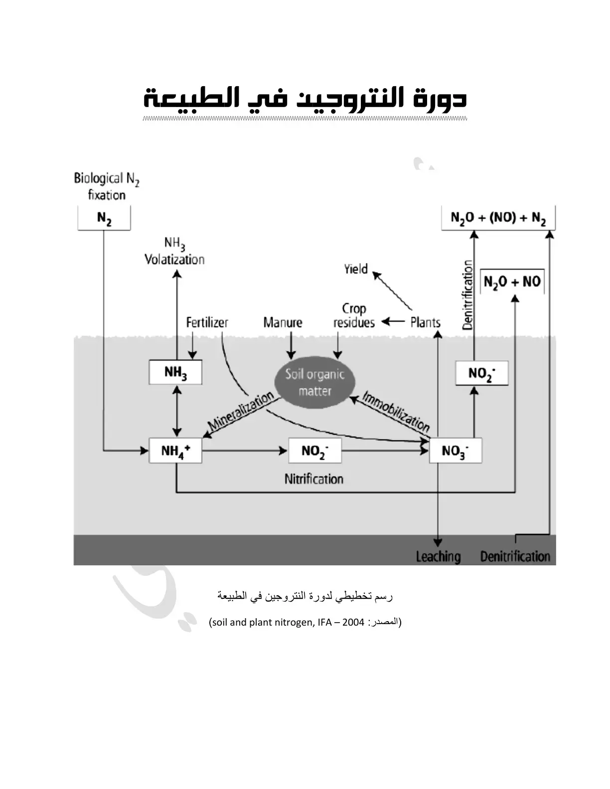 غلاف كتاب Biological N₂ Fixation