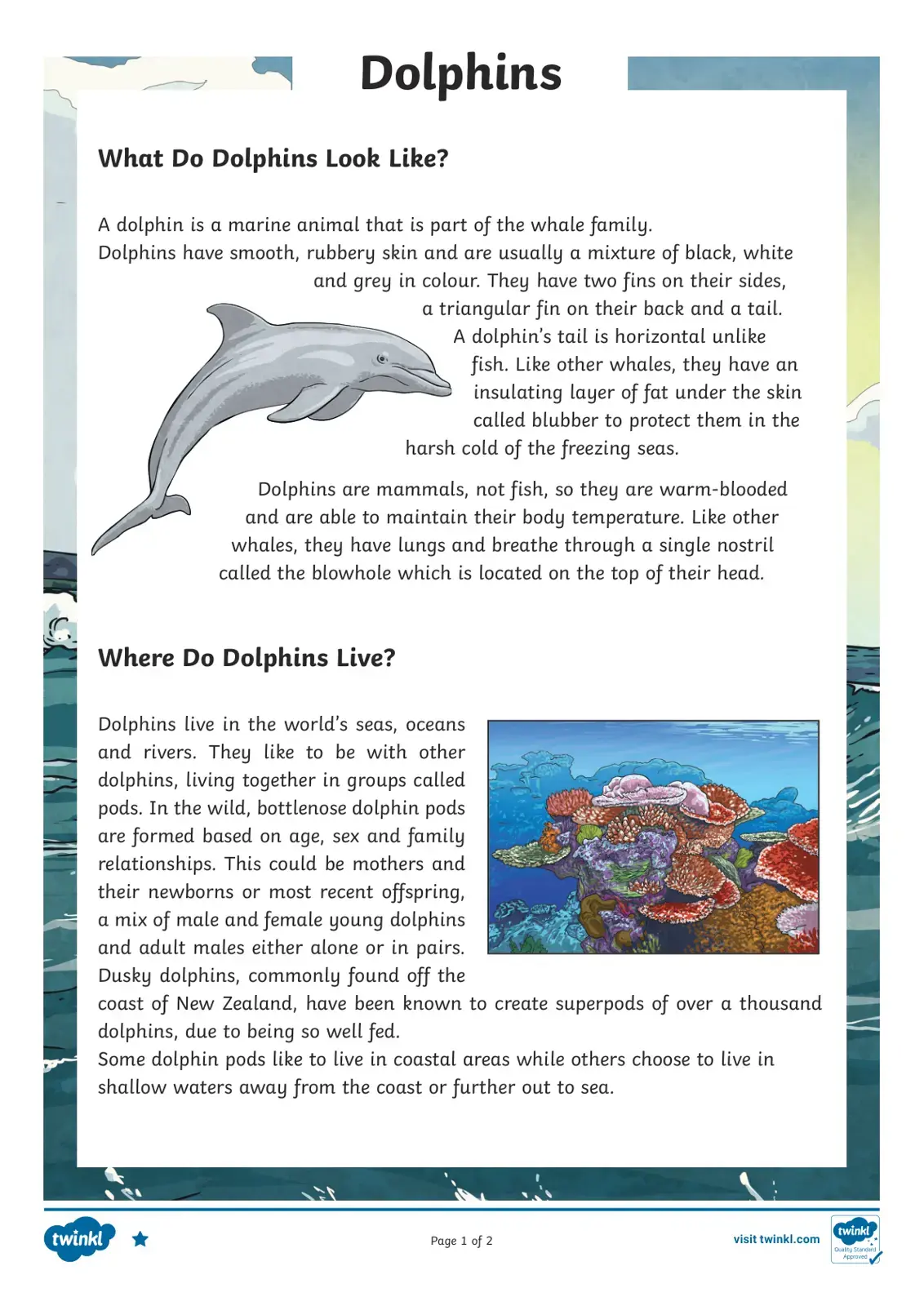 غلاف كتاب Dolphins
