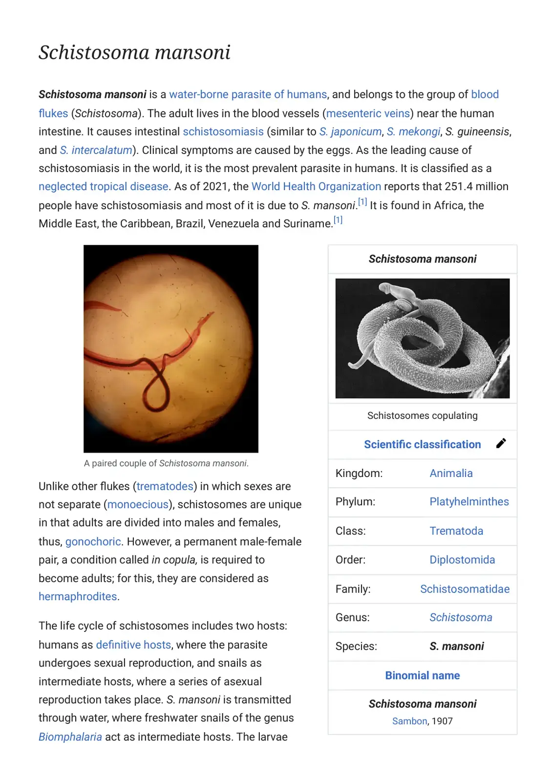 غلاف كتاب Schistosoma mansoni