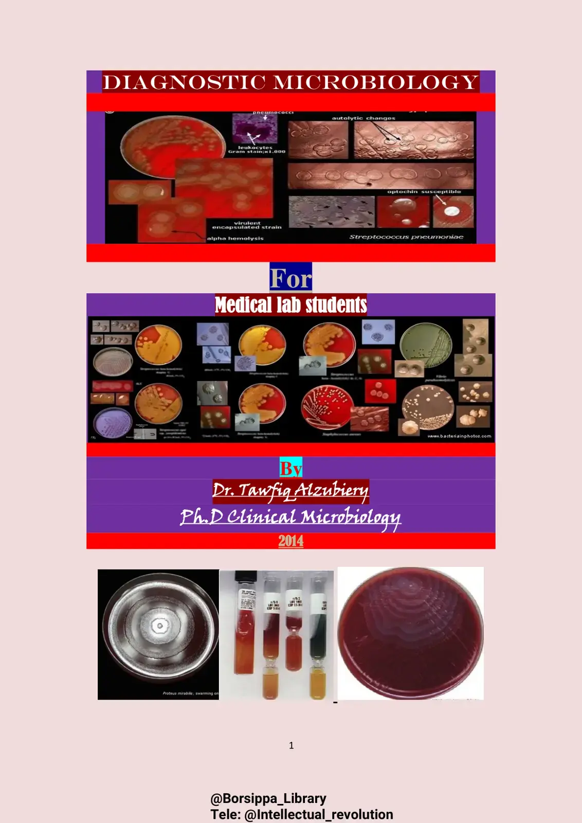 غلاف كتاب DIAGNOSTIC MICROBIOLOGY