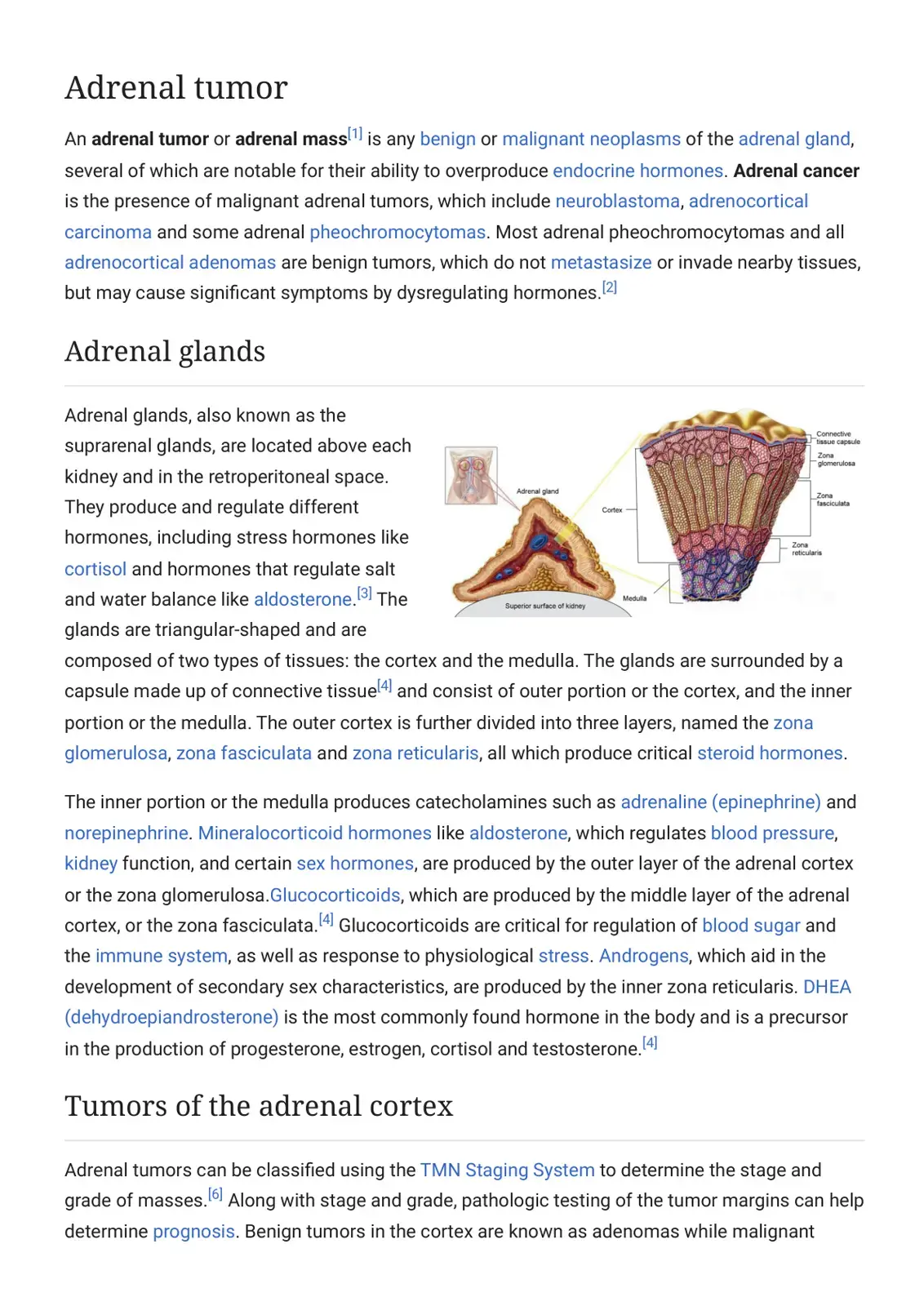 غلاف كتاب Adrenal Tumor