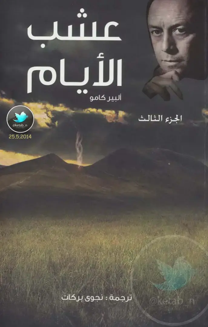 غلاف كتاب الأيام