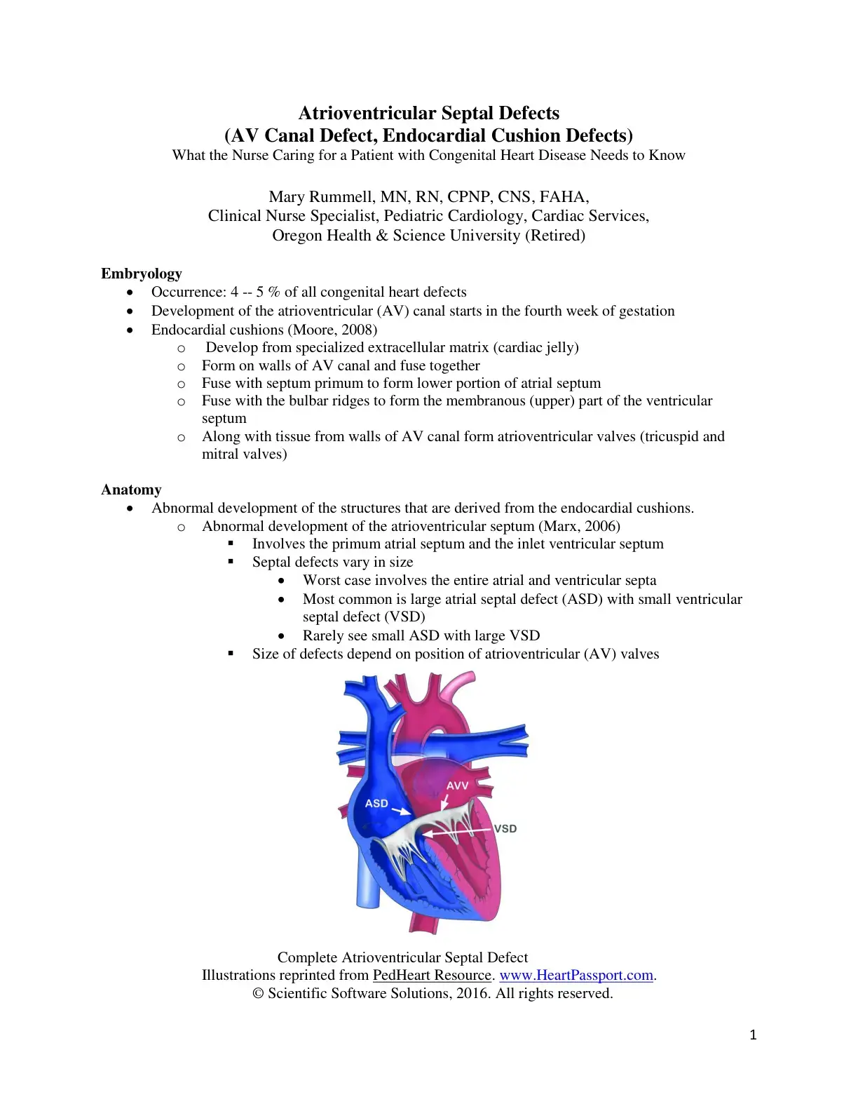 غلاف كتاب Atrioventricular Septal Defects