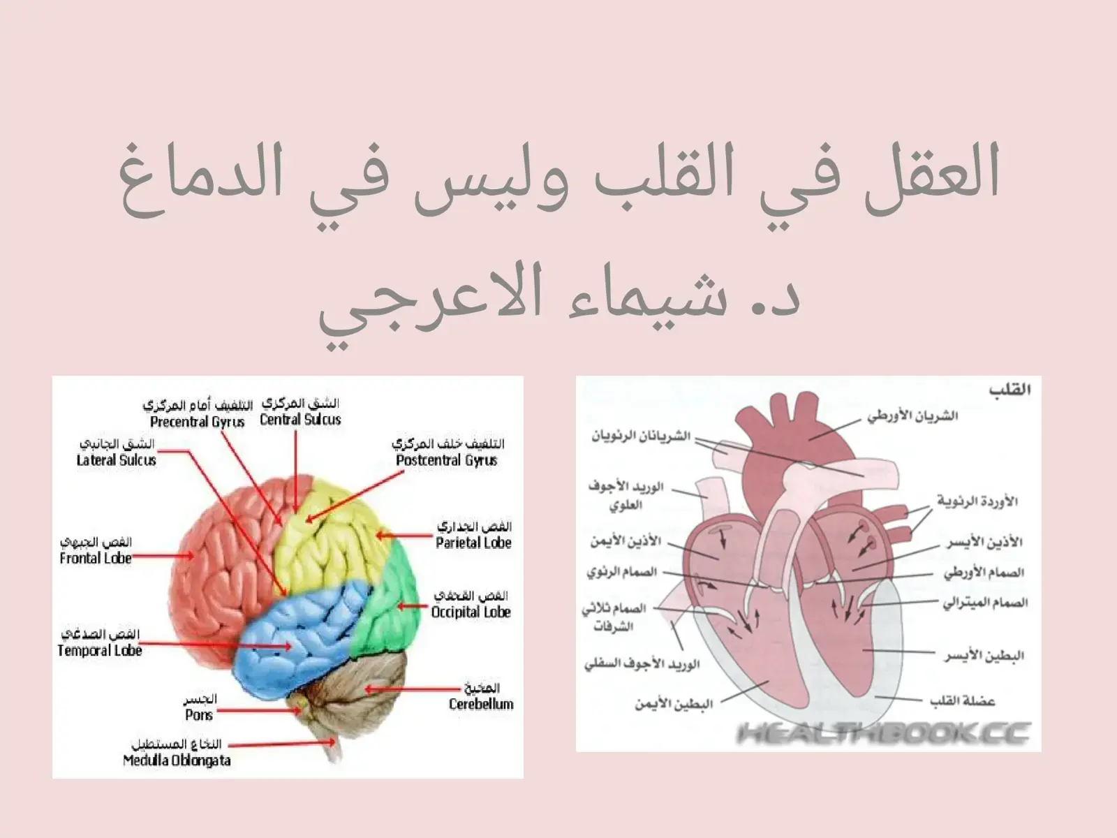 غلاف كتاب العقل في القلب وليس في الدماغ