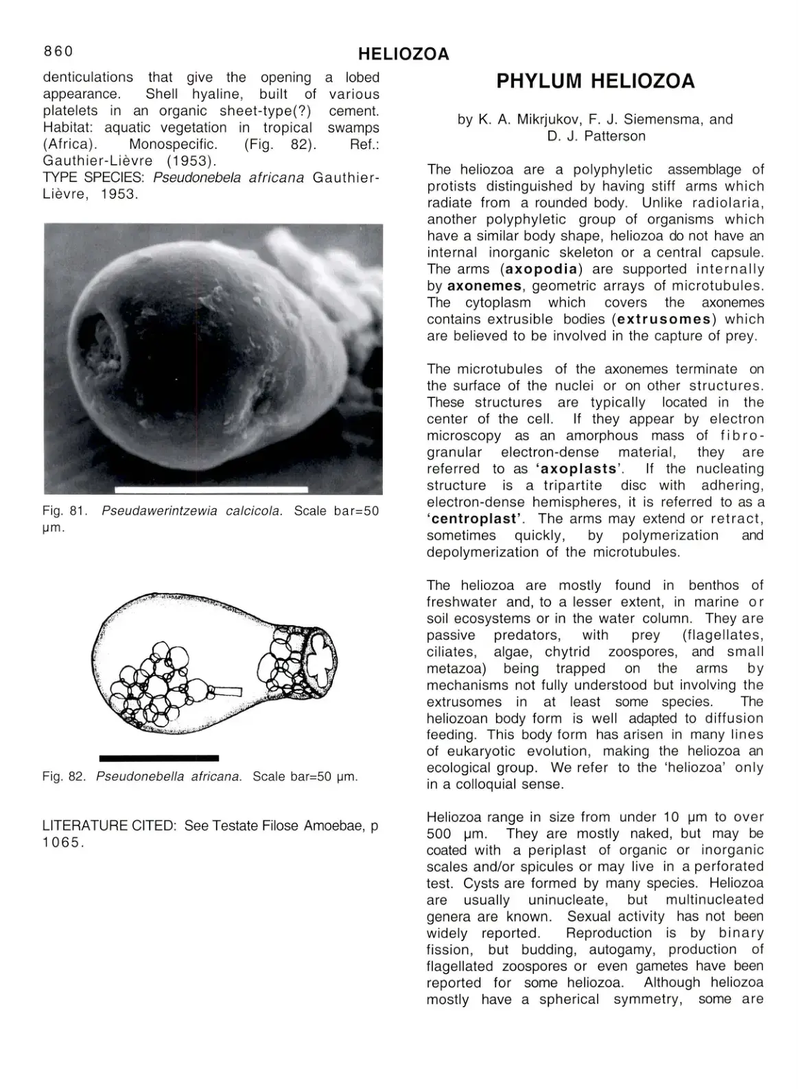 غلاف كتاب HELIOZOA