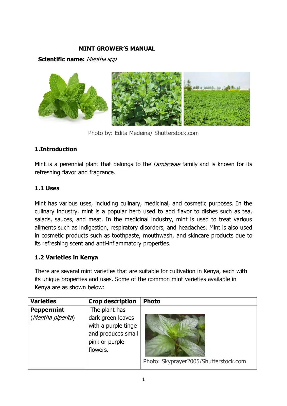 غلاف كتاب Mint Grower's Manual