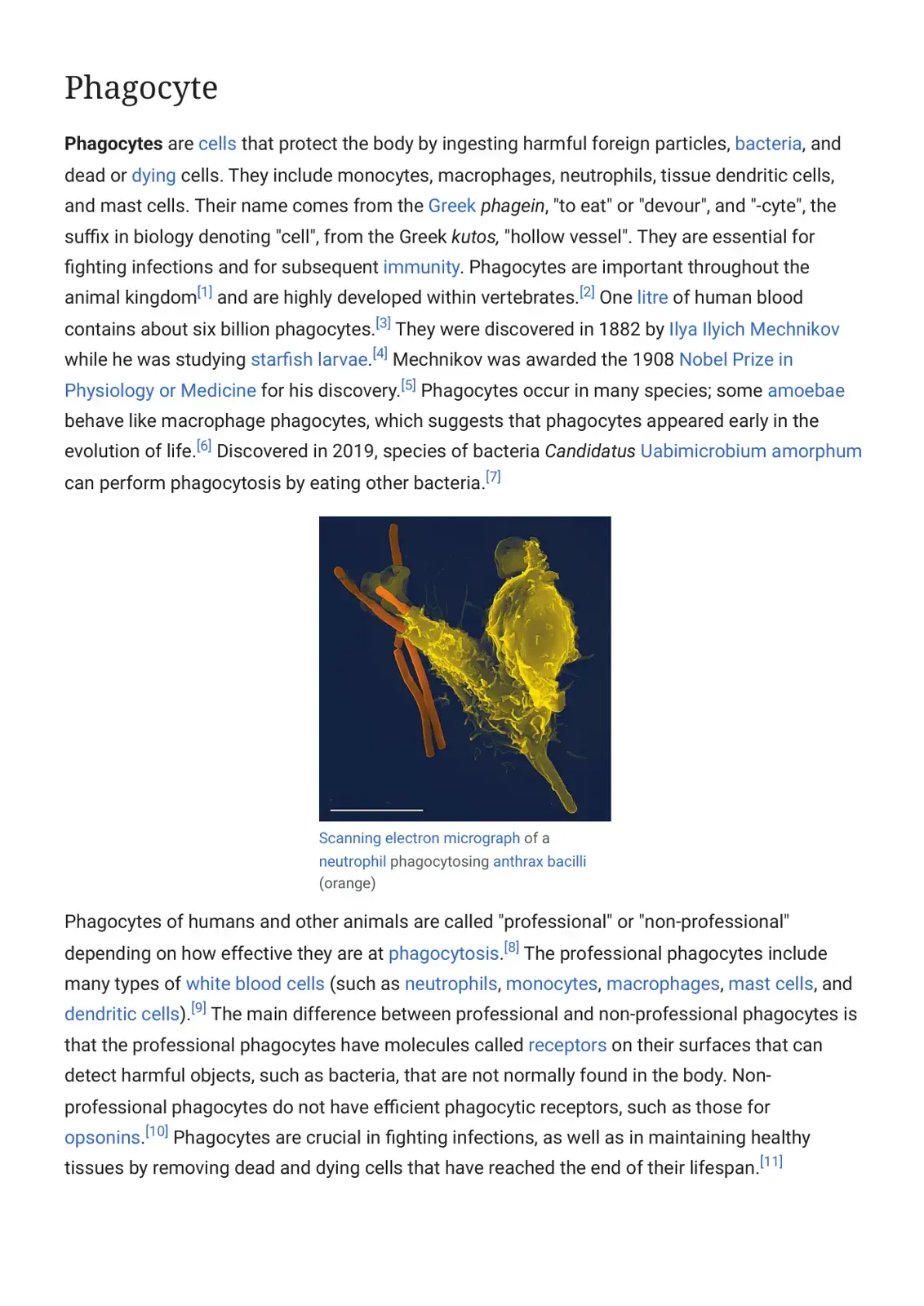 غلاف كتاب Phagocytes