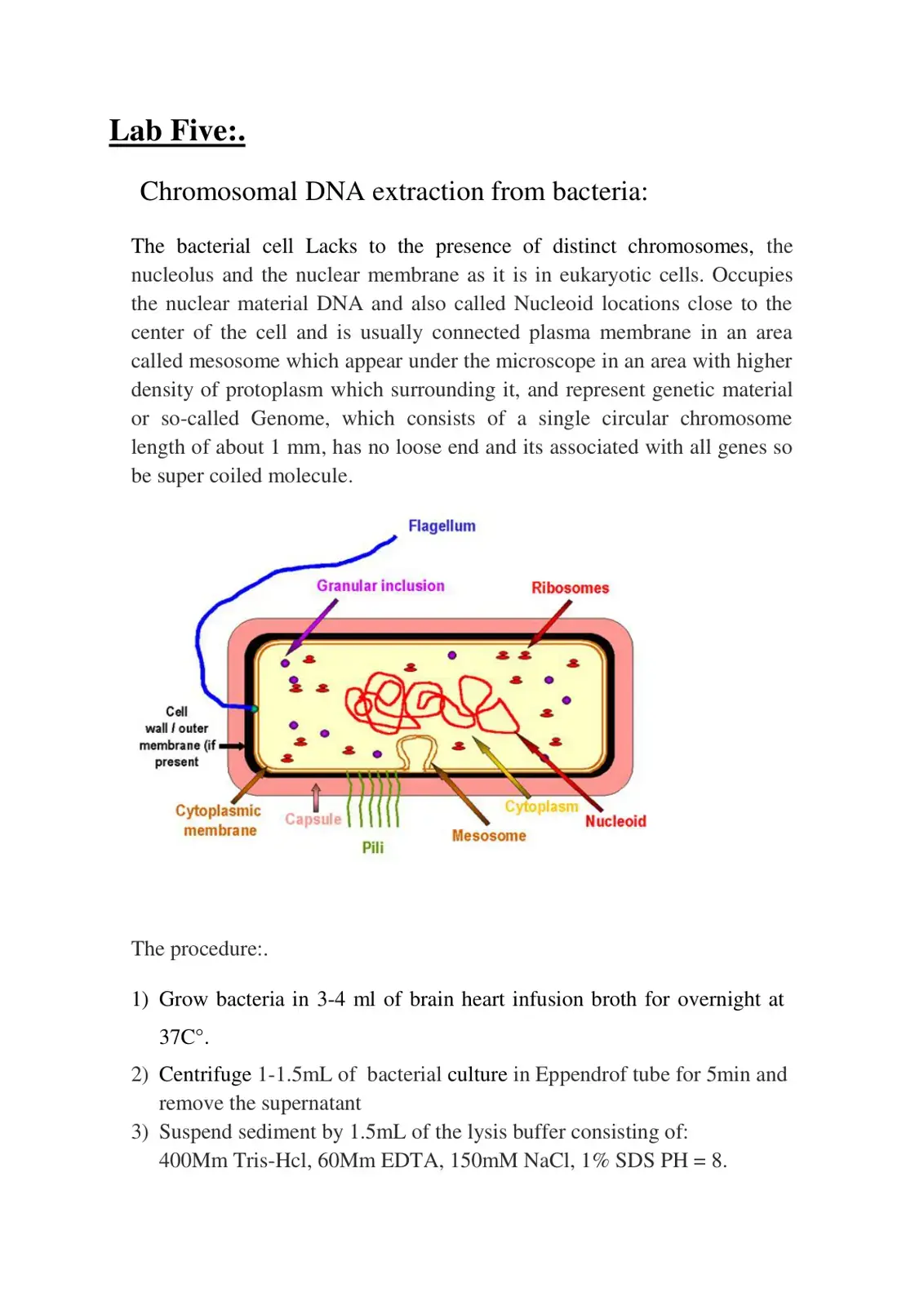 غلاف كتاب Chromosomal DNA extraction from bacteria
