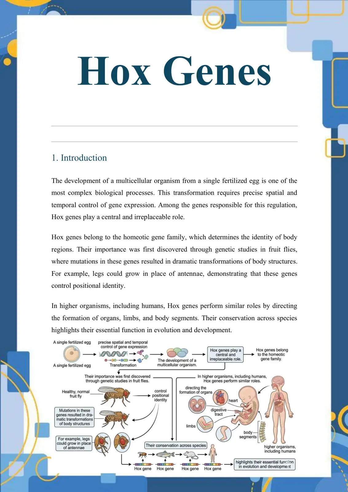 غلاف كتاب Hox Genes