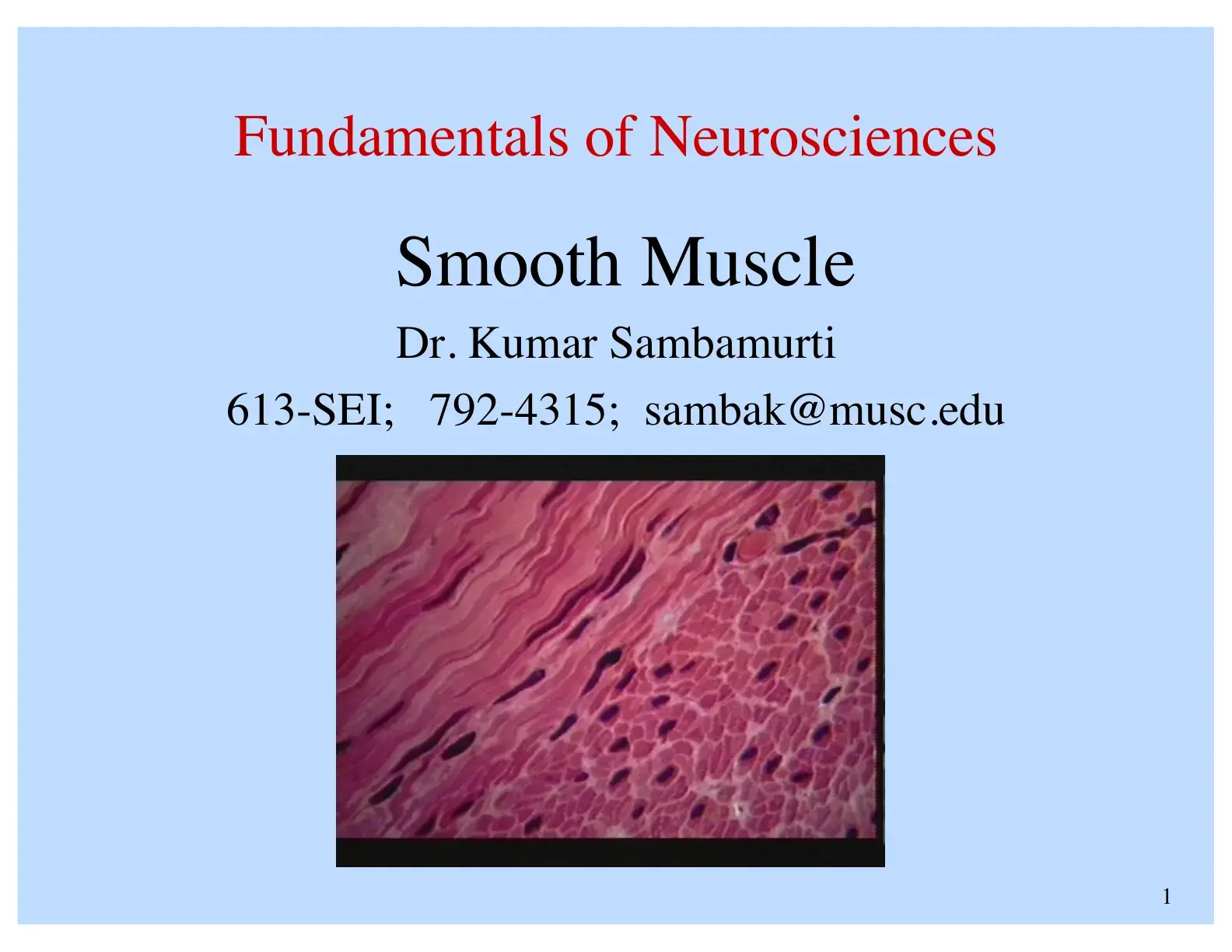 غلاف كتاب Fundamentals of Neurosciences - Smooth Muscle