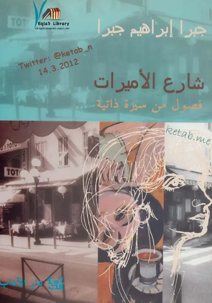 غلاف كتاب شارع الأميرات