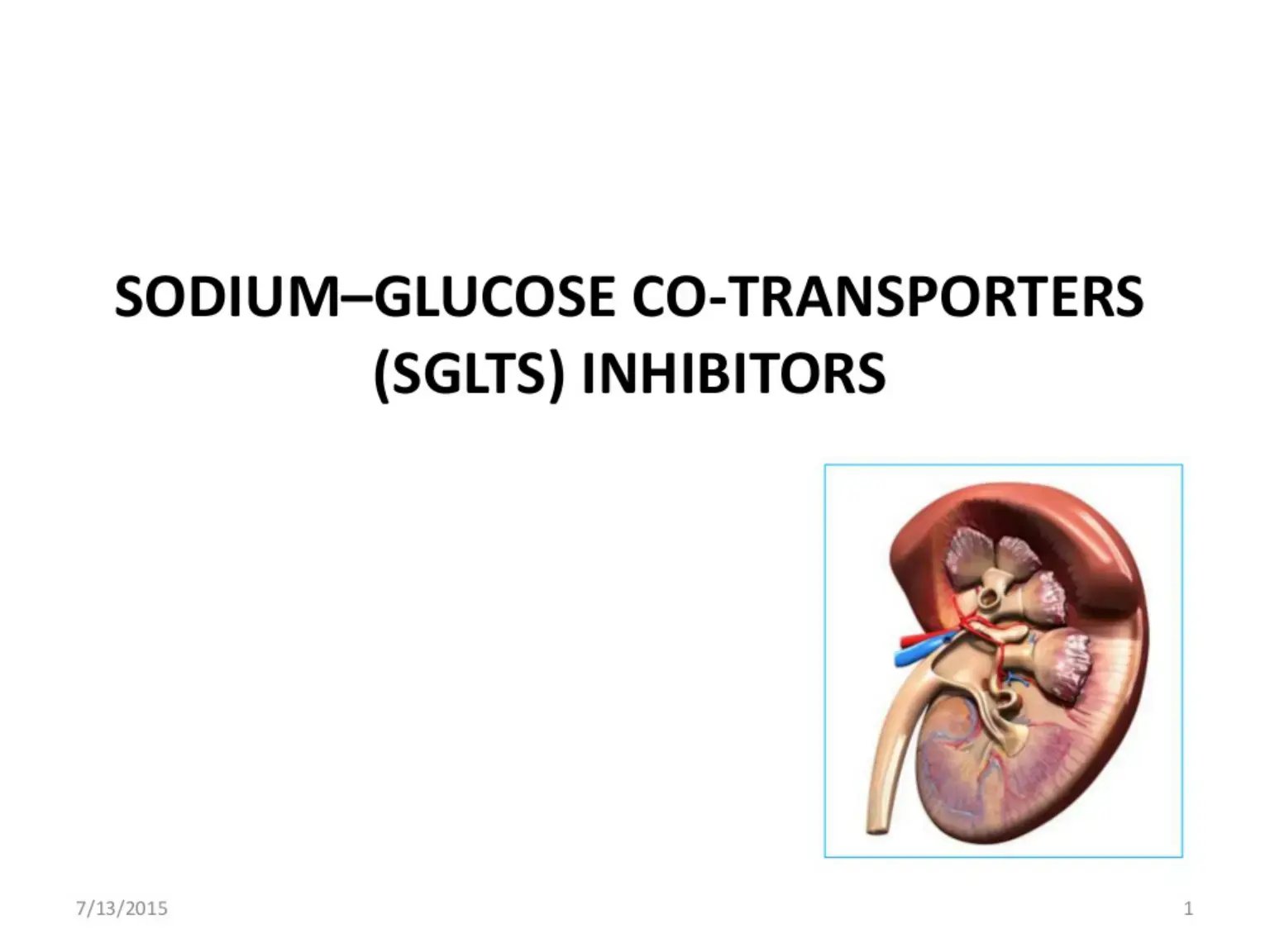 غلاف كتاب SODIUM-GLUCOSE CO-TRANSPORTERS (SGLTS) INHIBITORS