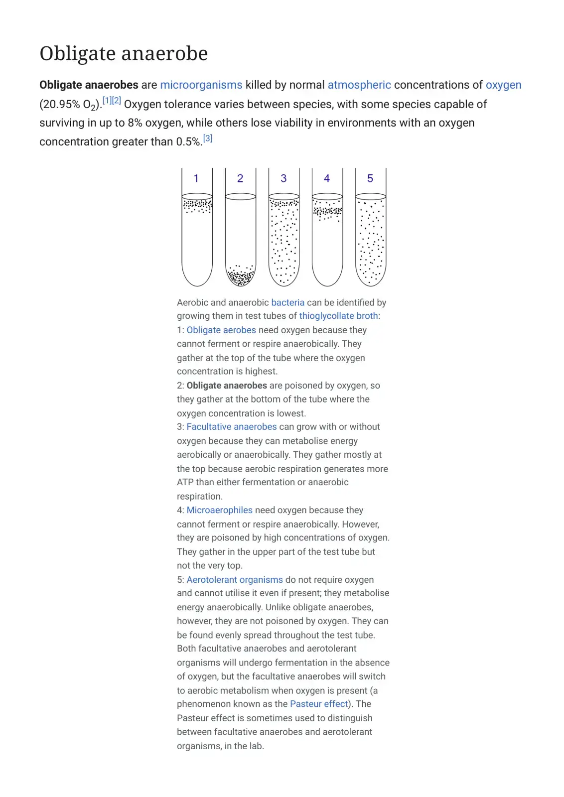 غلاف كتاب Obligate Anaerobe
